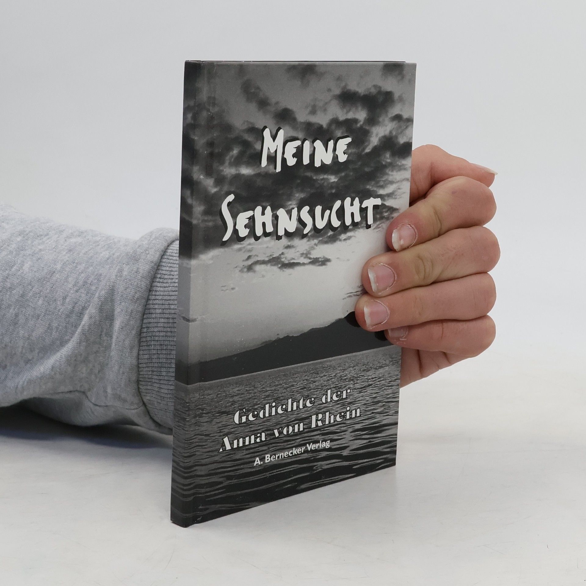 Kolektiv autorů Meine Sehnsucht