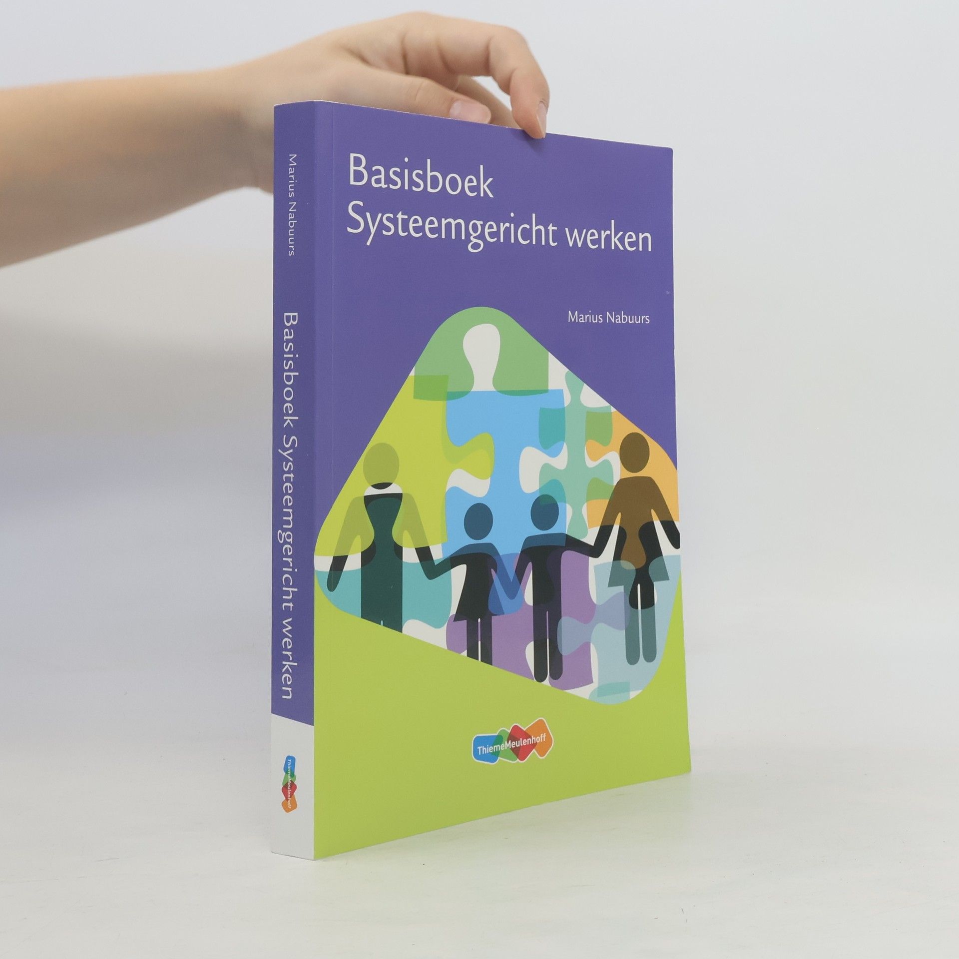 Marius Nabuurs Basisboek systeemgericht werken