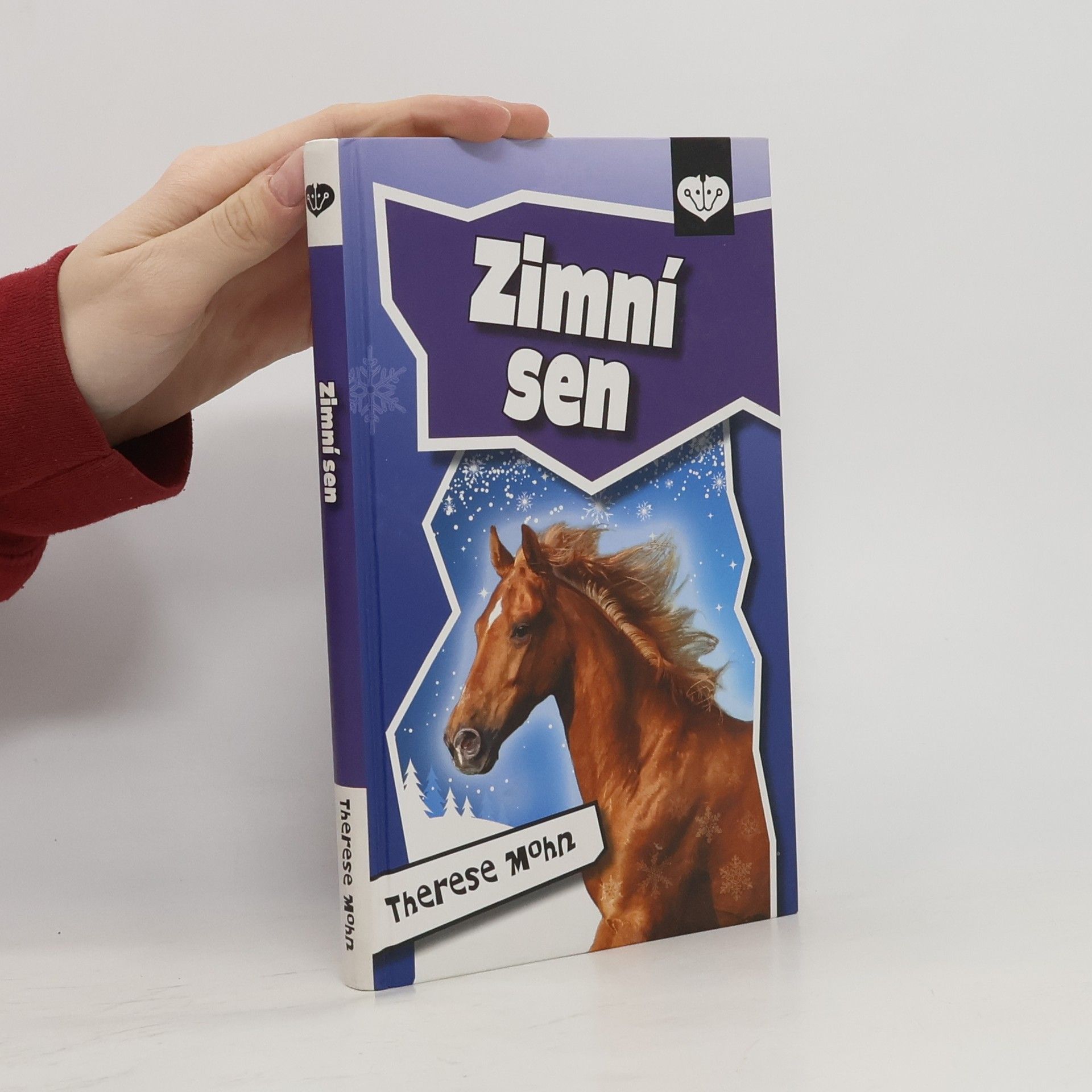 Therese Mohn Zimní sen