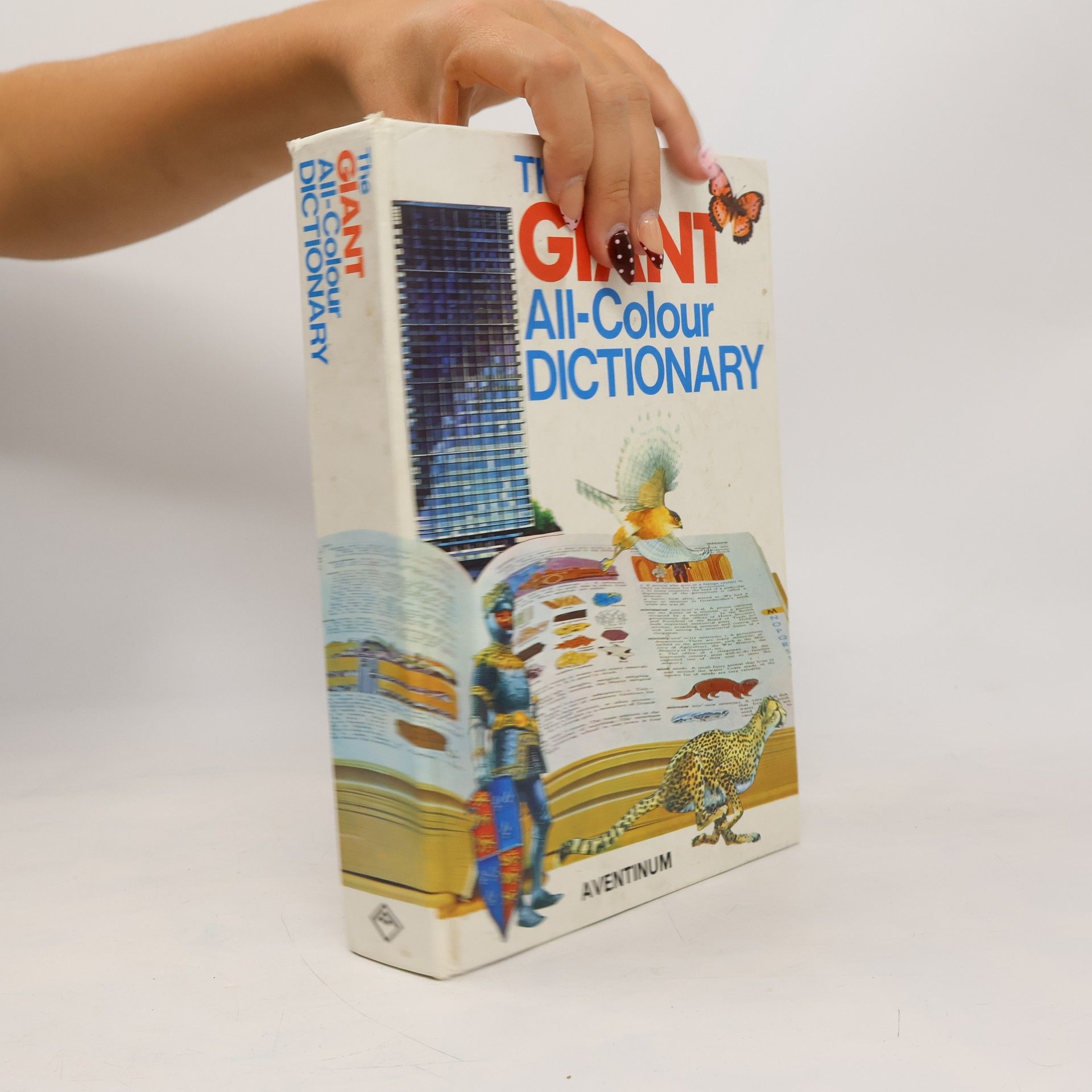 Stuart A. Courtis The Giant All-Colour Dictionary