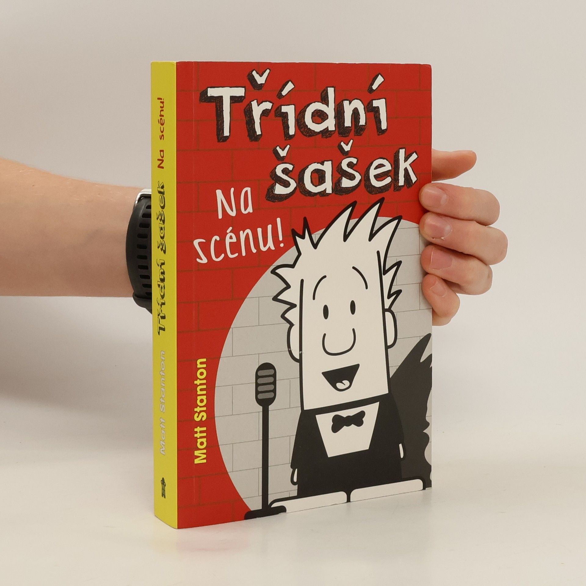 Matt Stanton Třídní šašek - Na scénu!