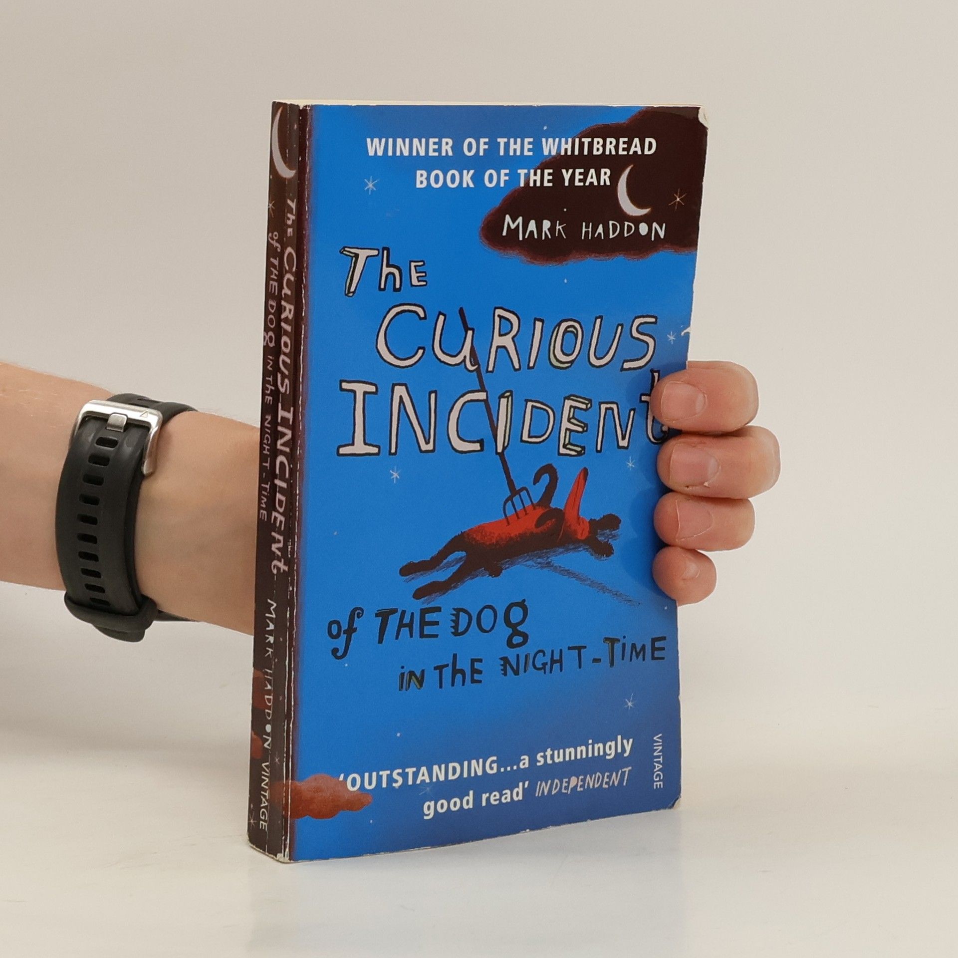 Mark Haddon The Curious Incident of The Dog in The Night-Time