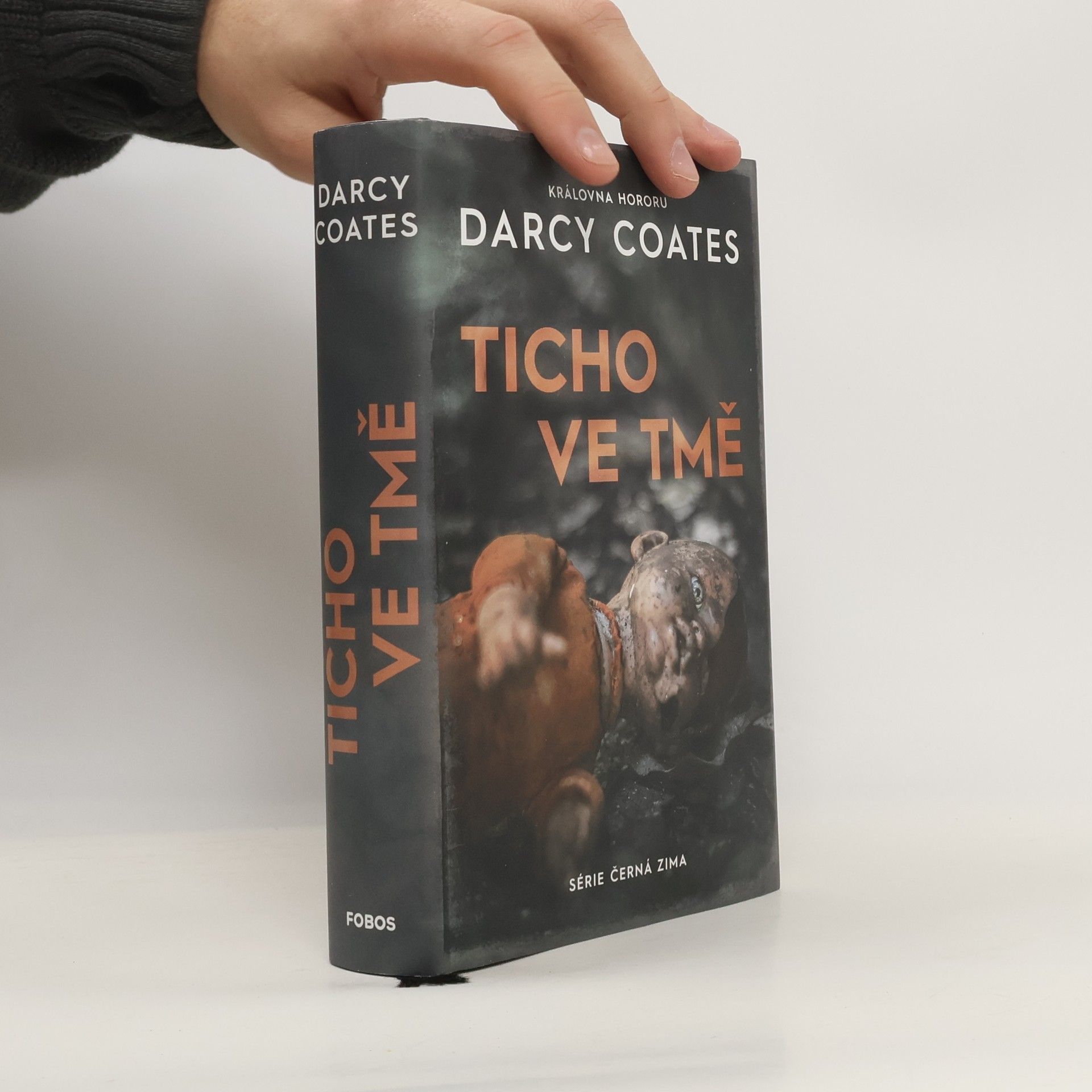 Darcy Coates Ticho ve tmě