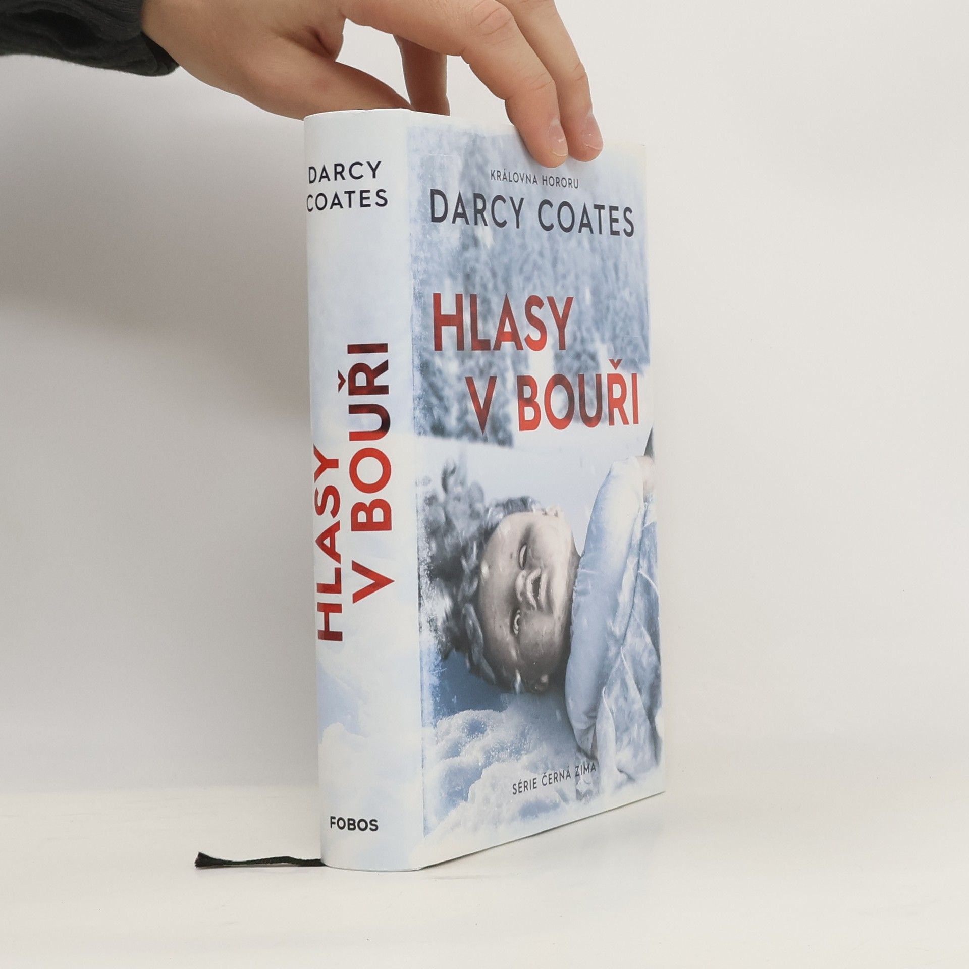 Darcy Coates Hlasy v bouři