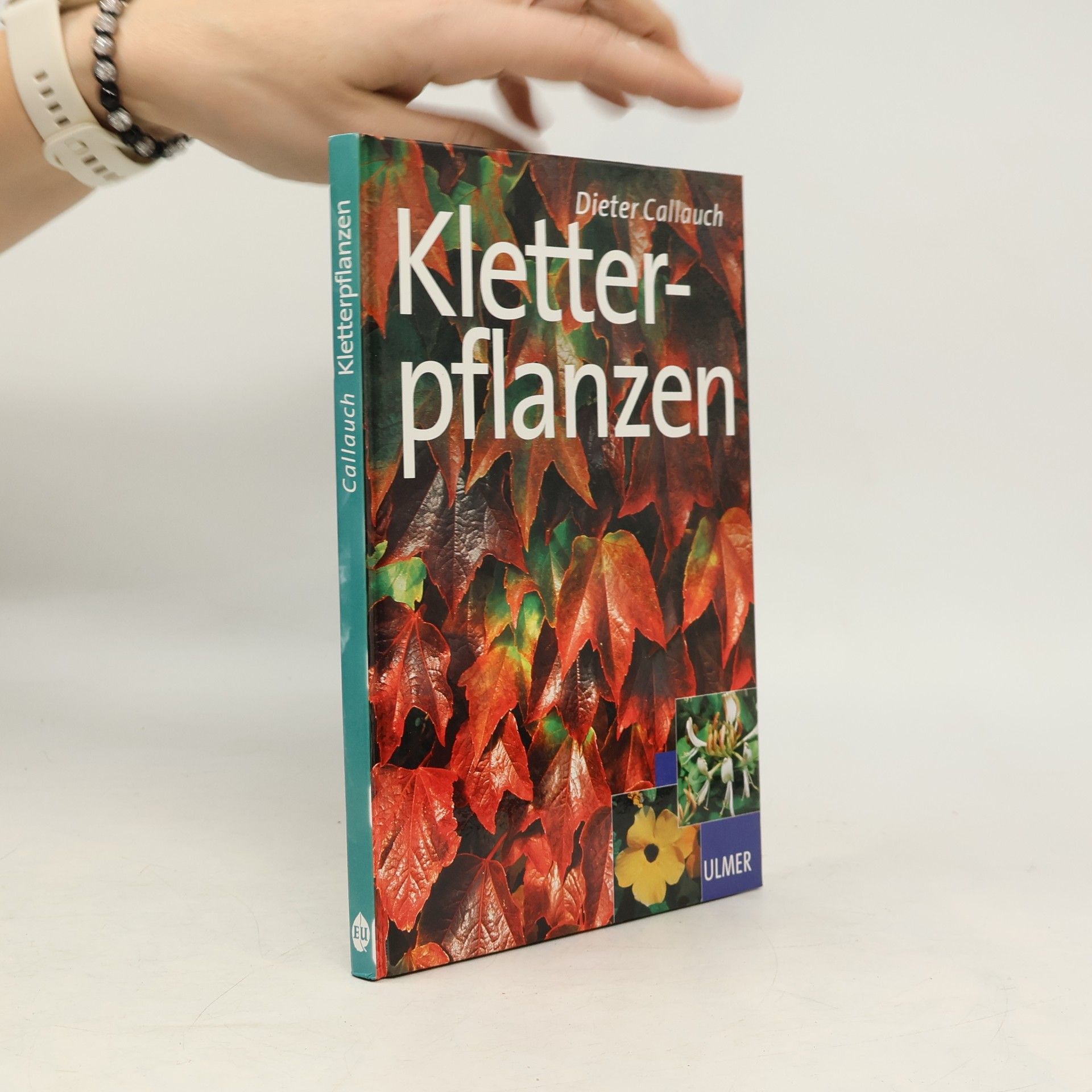 Rolf Callauch Kletterpflanzen