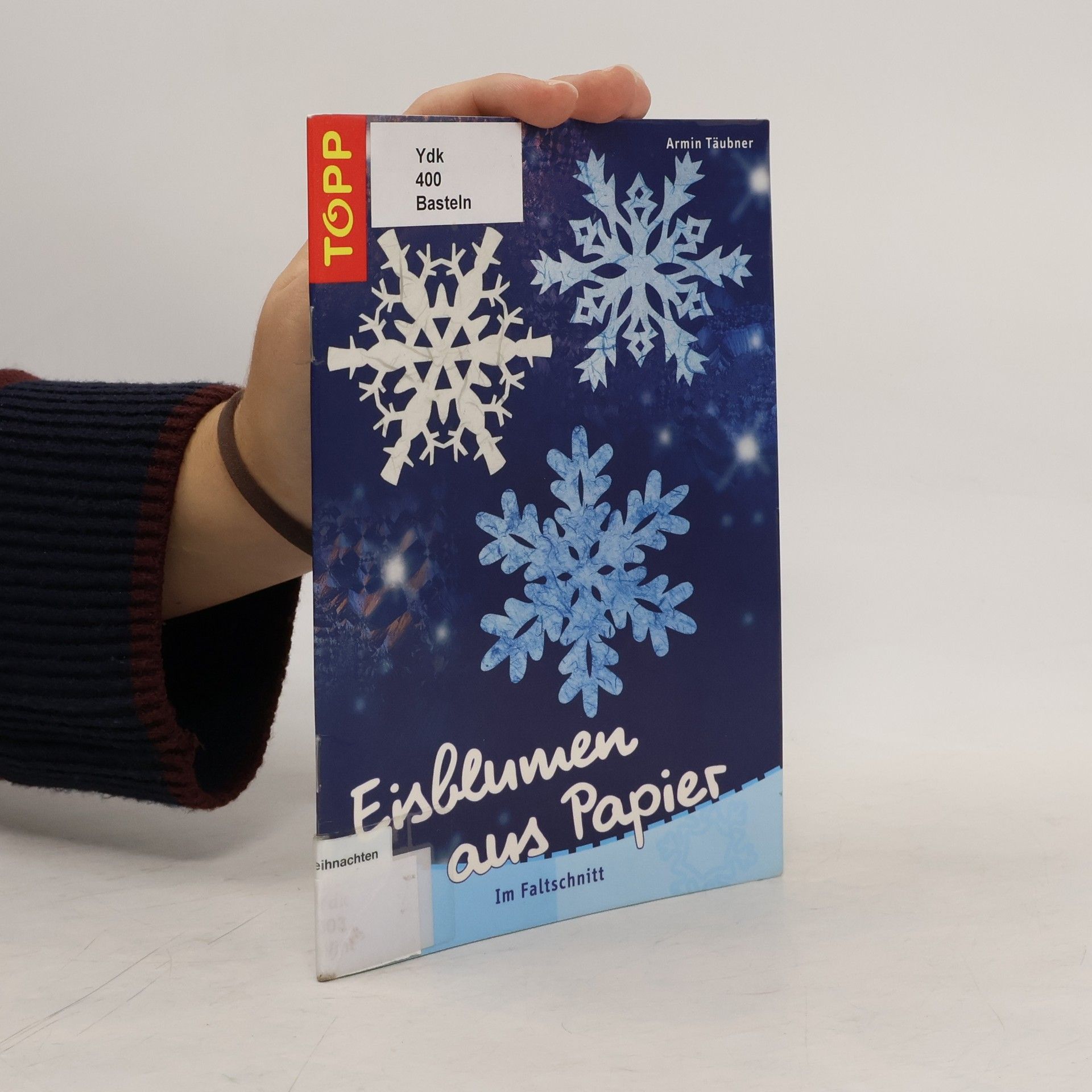 Daniel Täubner Eisblumen aus Papier