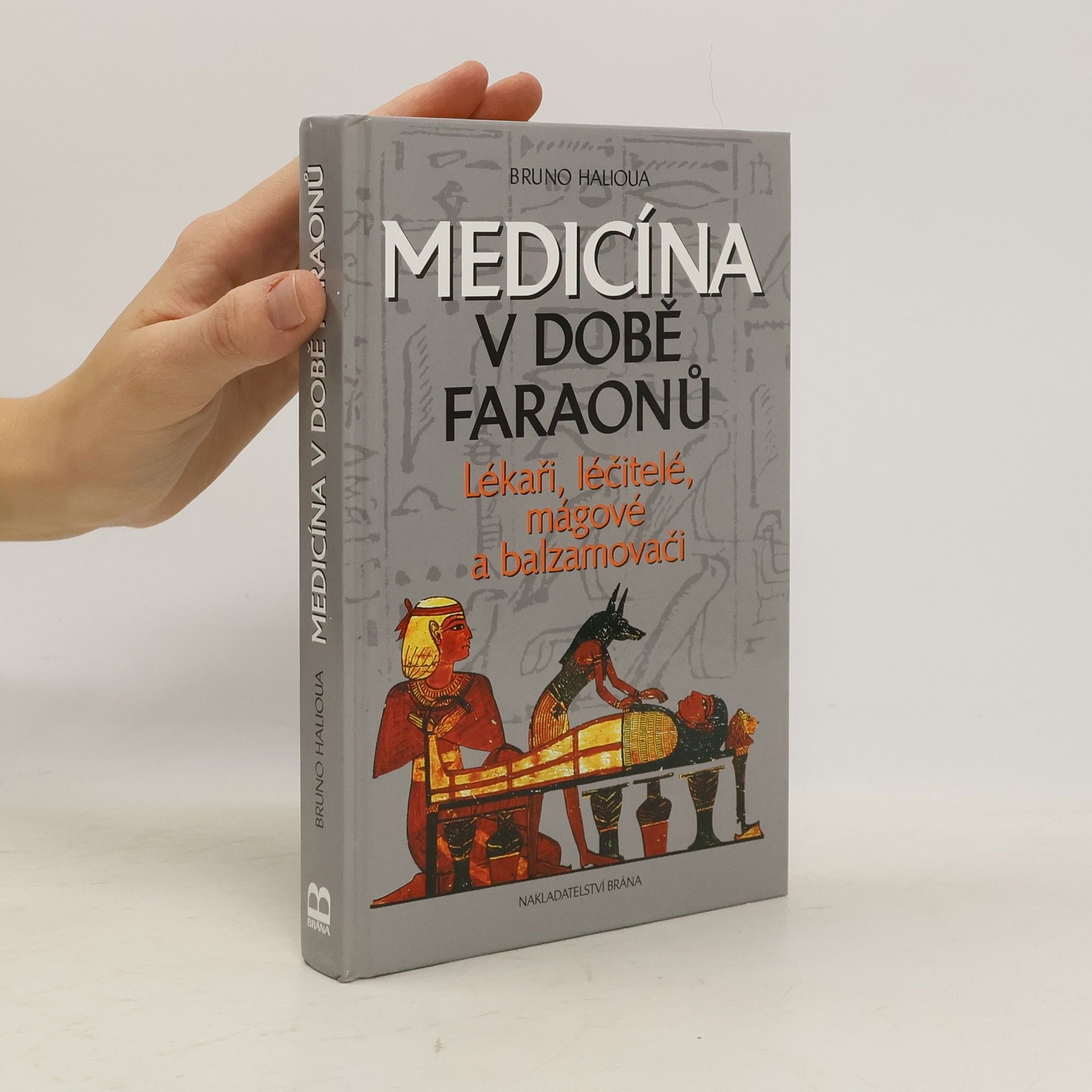 Bruno Halioua Medicína v době faraonů : lékaři, léčitelé, mágové a balzamovači