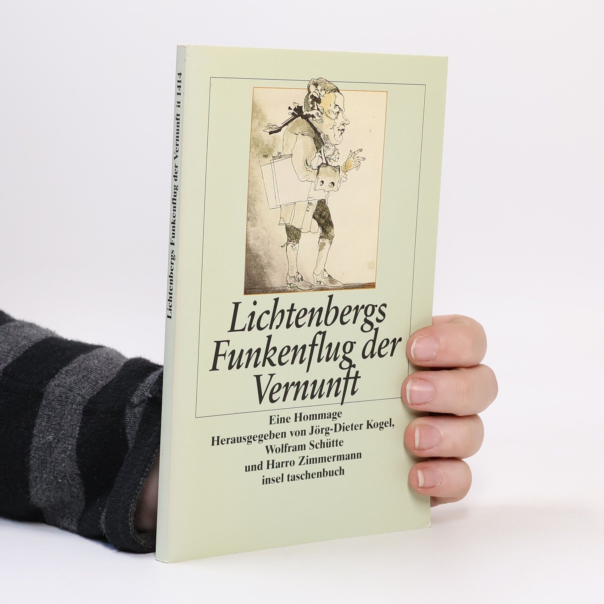 Jörg-Dieter Kogel Lichtenbergs Funkenflug der Vernunft