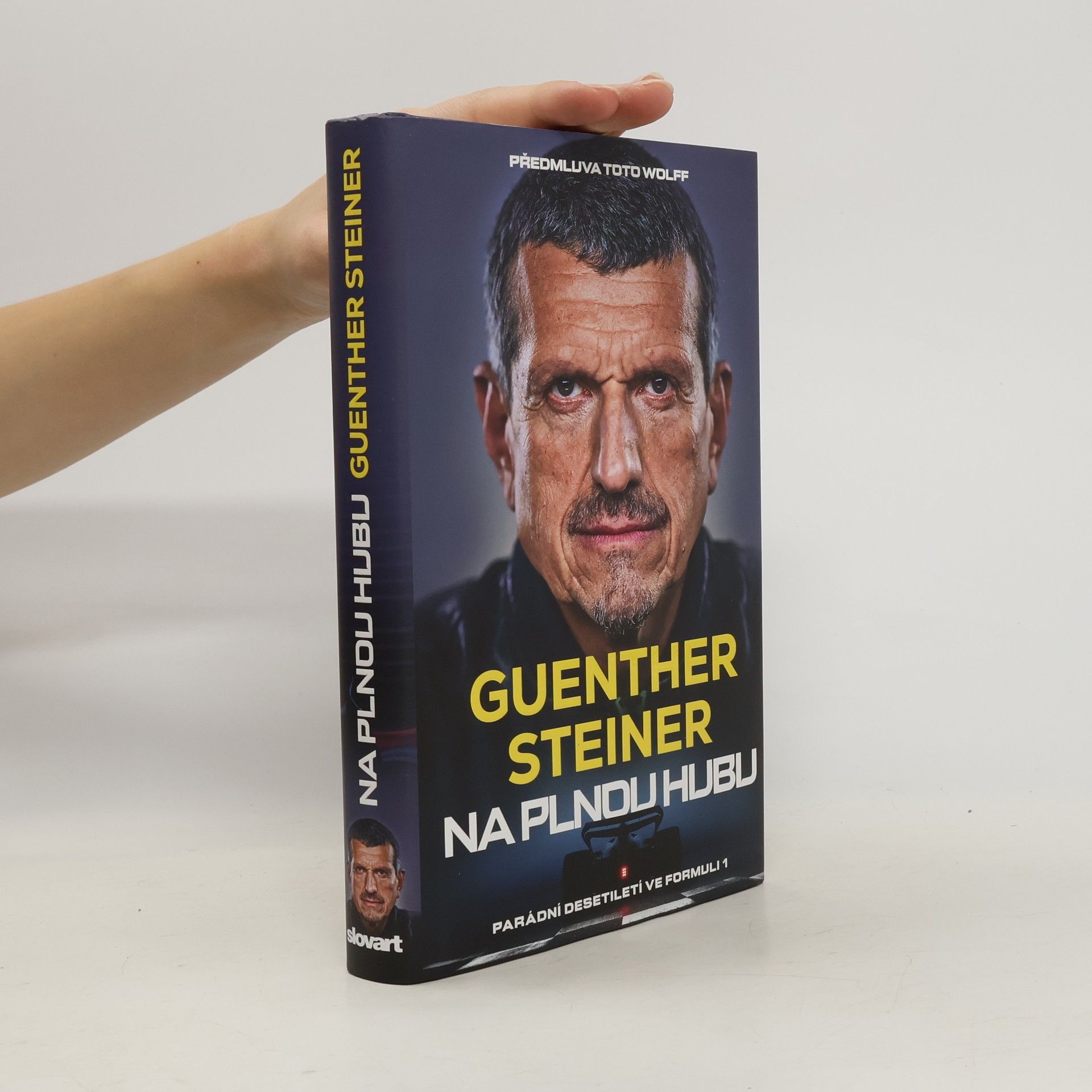 Guenther Steiner Na plnou hubu. Parádní desetiletí ve formuli 1