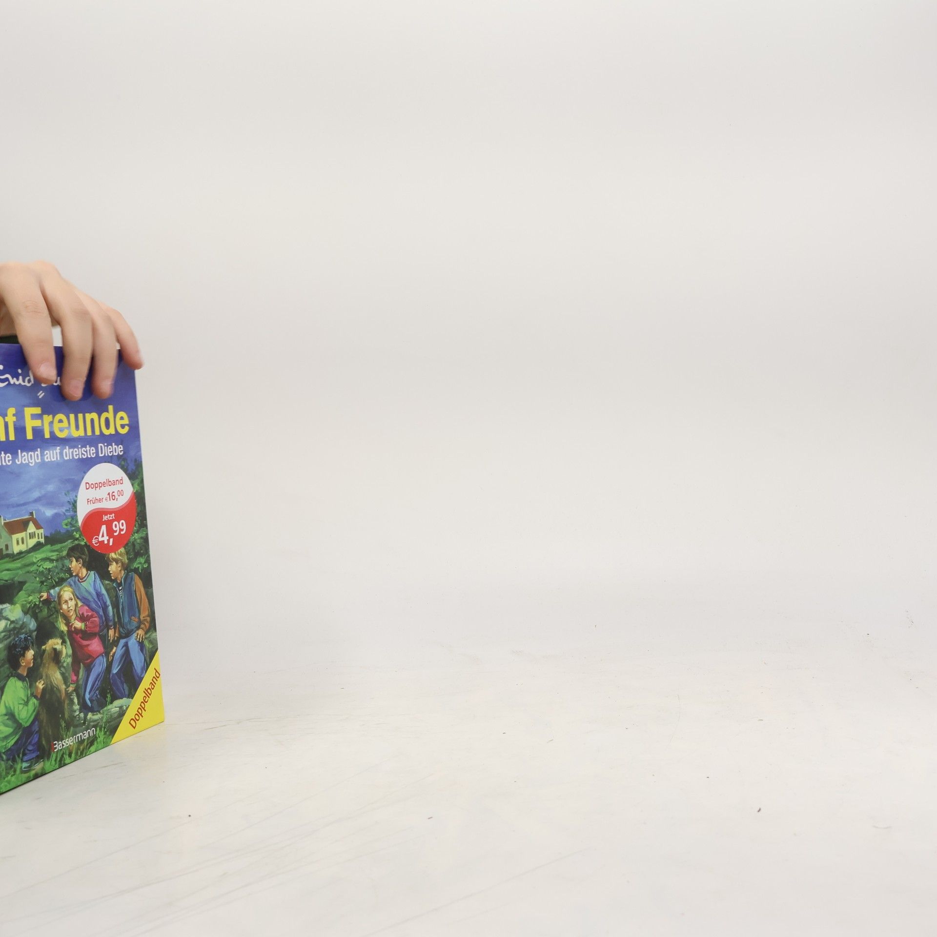 Fünf Freunde - riskante Jagd auf dreiste Diebe