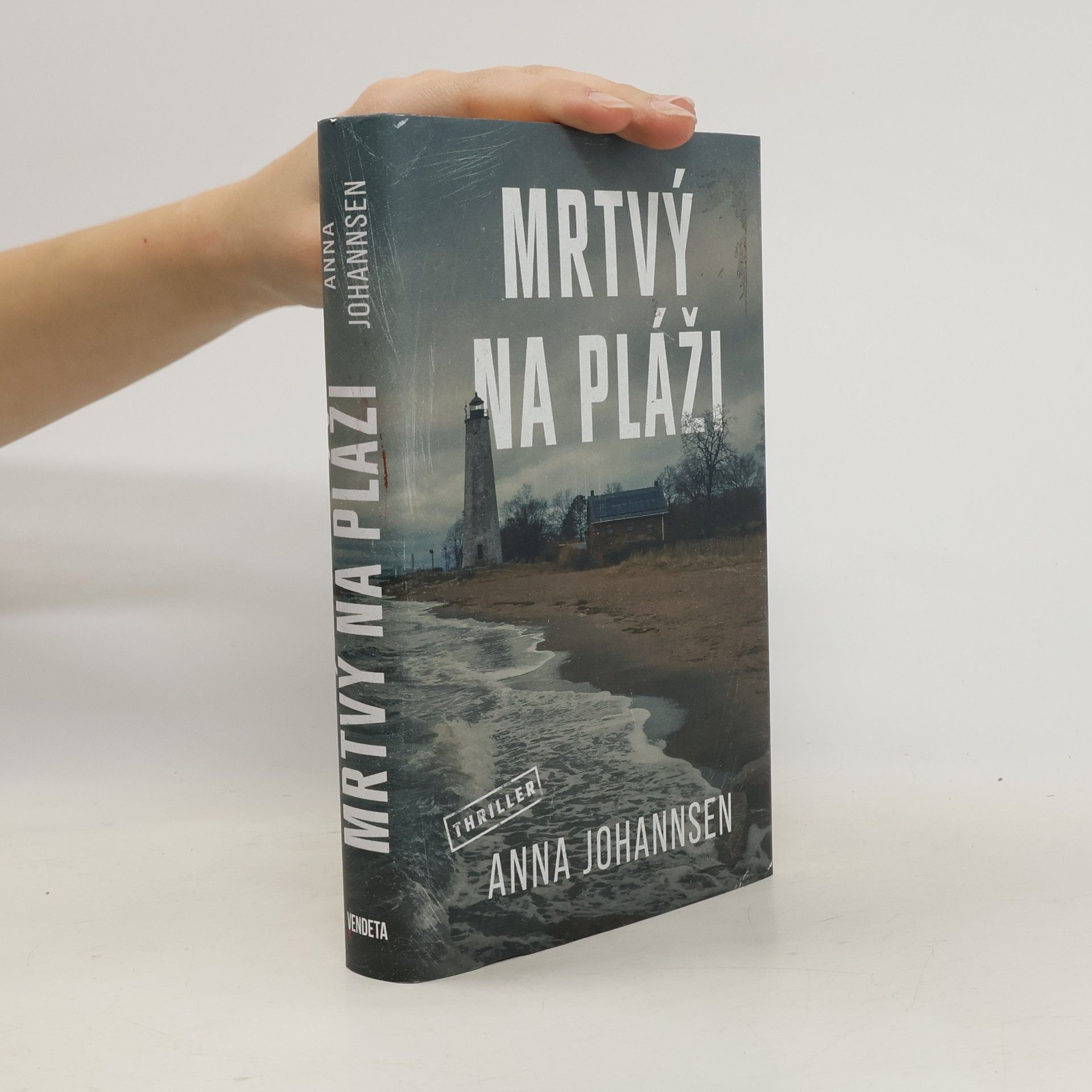 Anna Johannsen Mrtvý na pláži