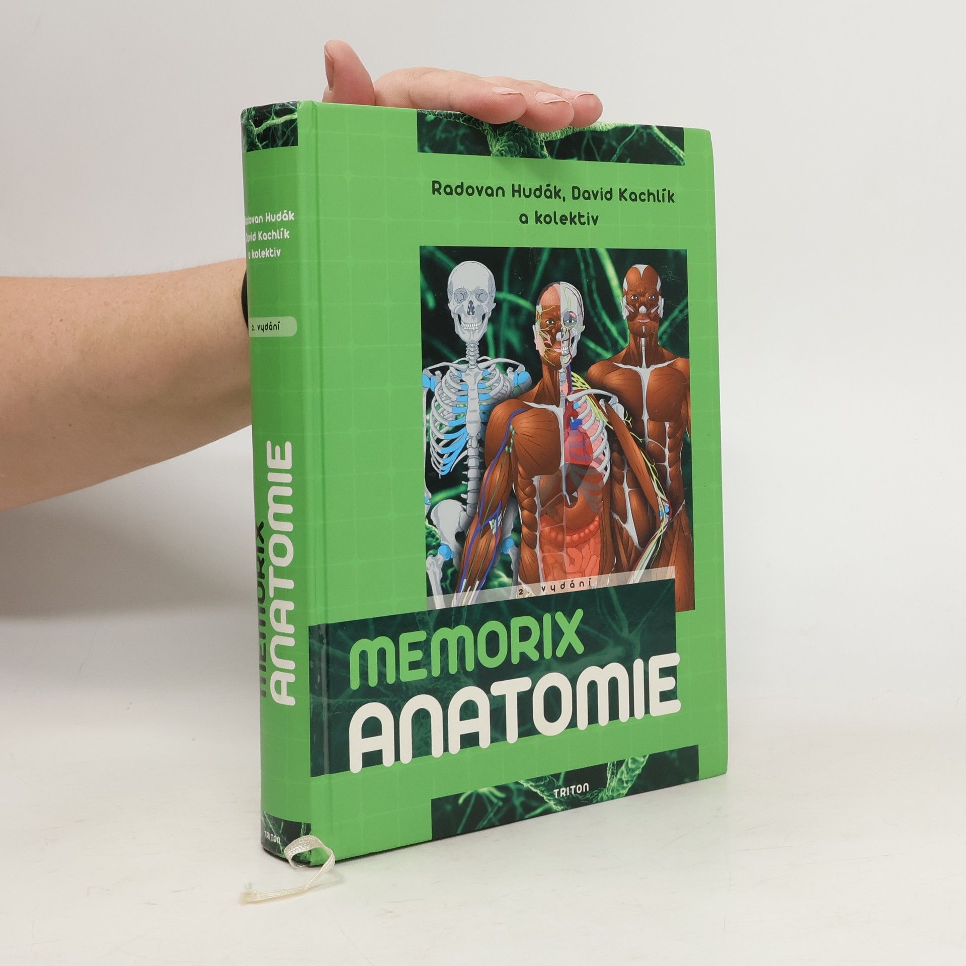 Memorix anatomie