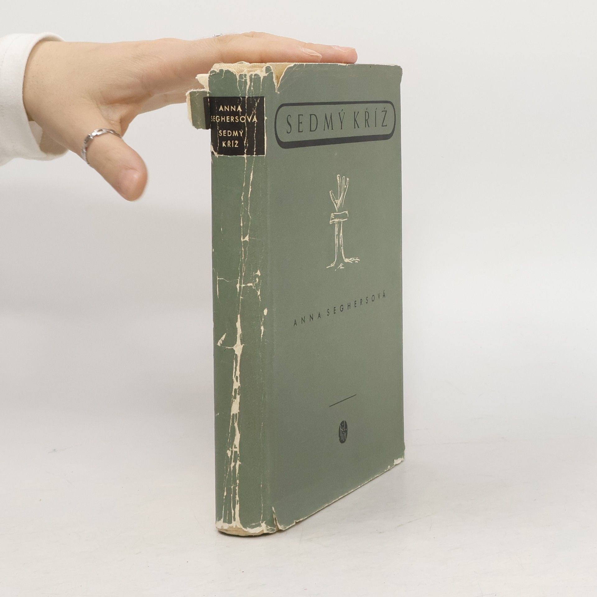 Anna Seghers Sedmý kříž