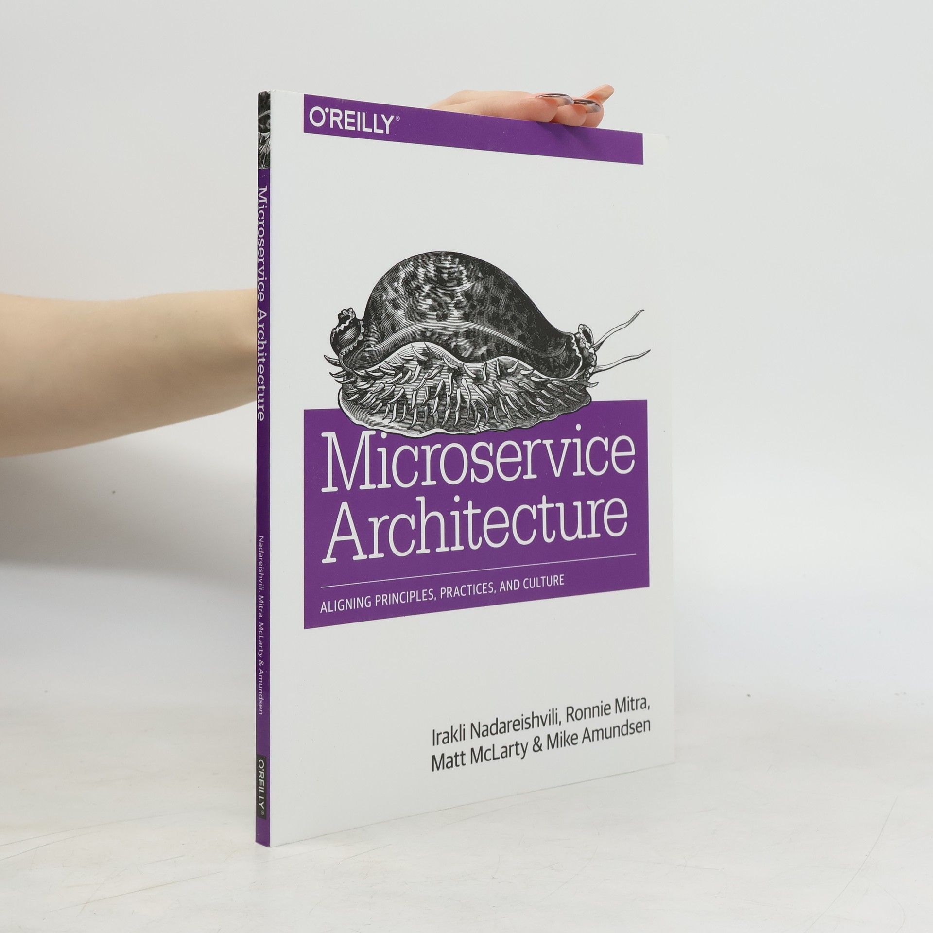 Mike Amundsen Microservice Architecture