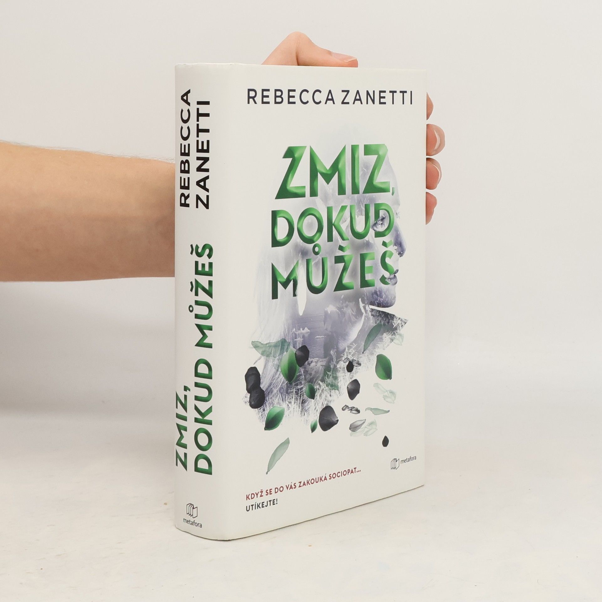 Rebecca Zanetti Zmiz, dokud můžeš