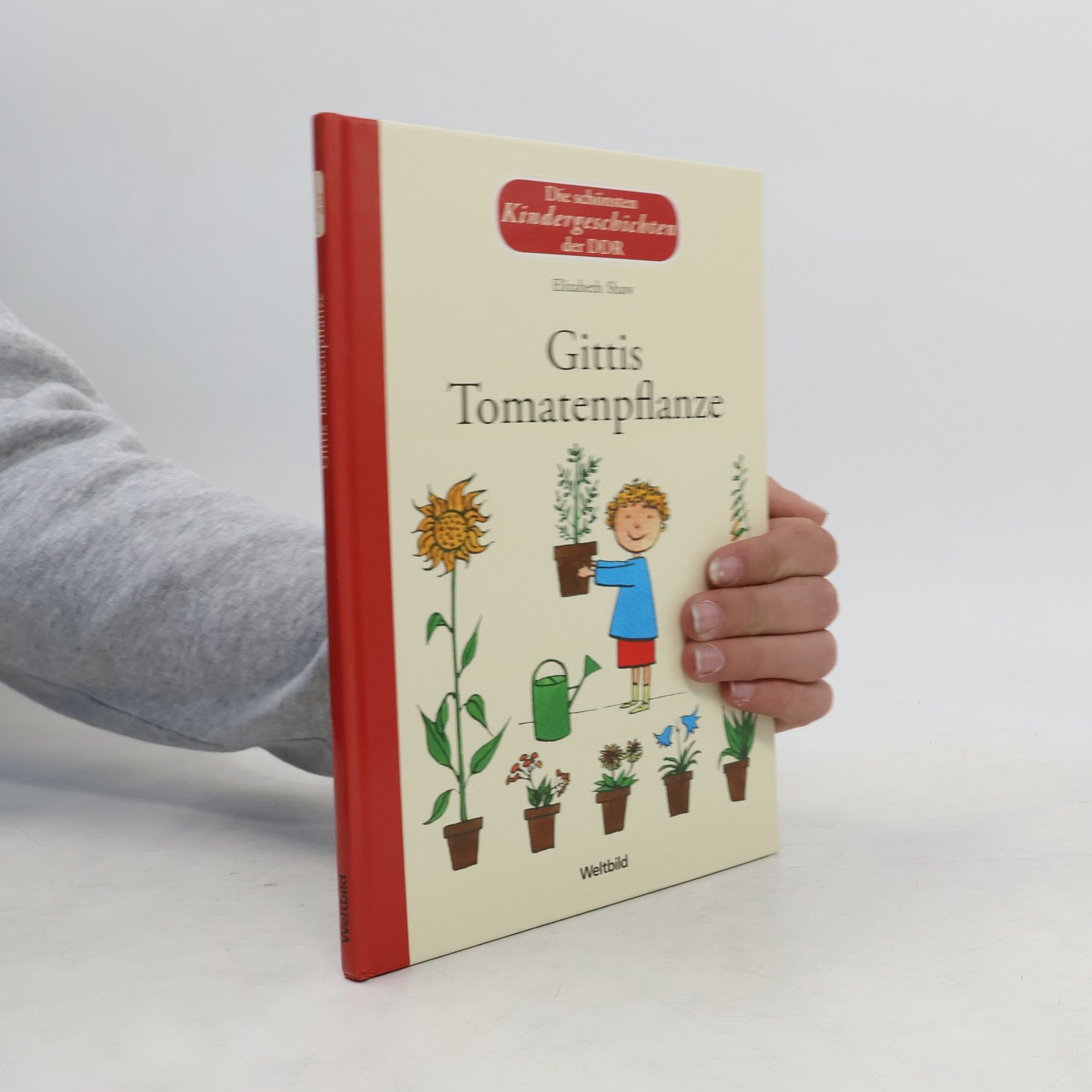 Elizabeth Shaw Gittis Tomatenpflanze