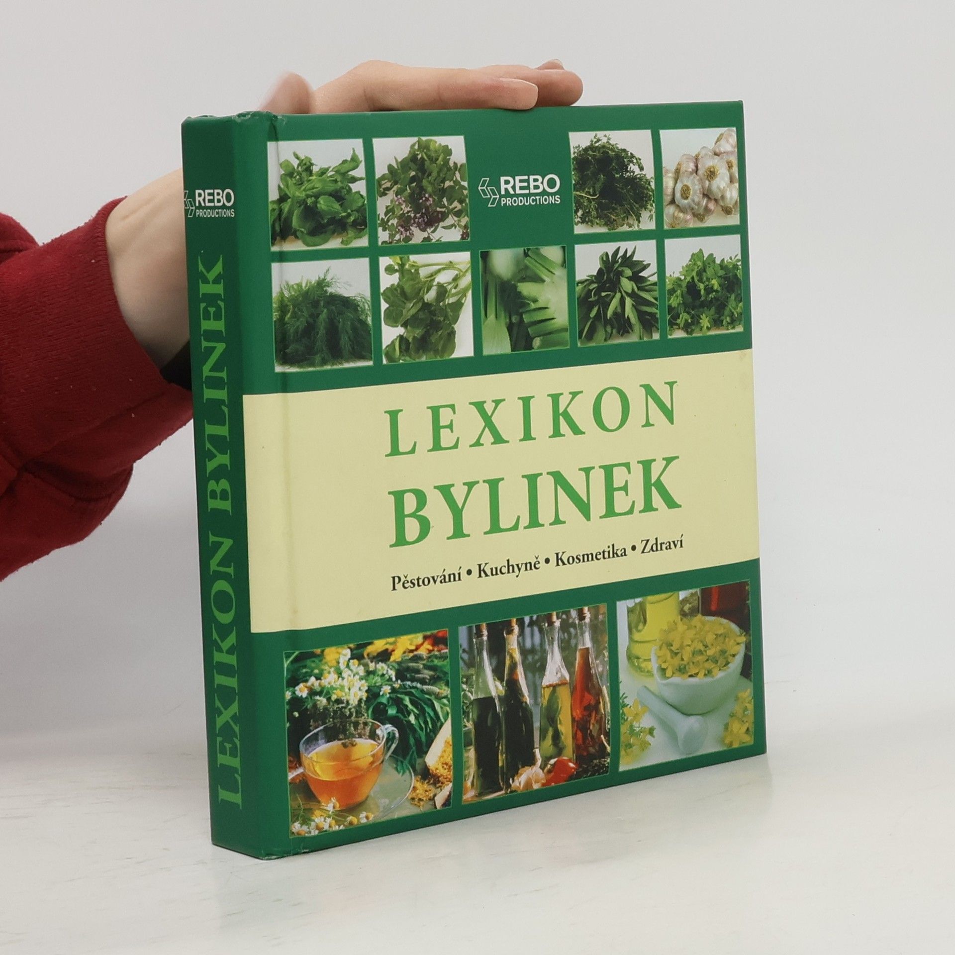 Andrea Rausch Lexikon bylinek