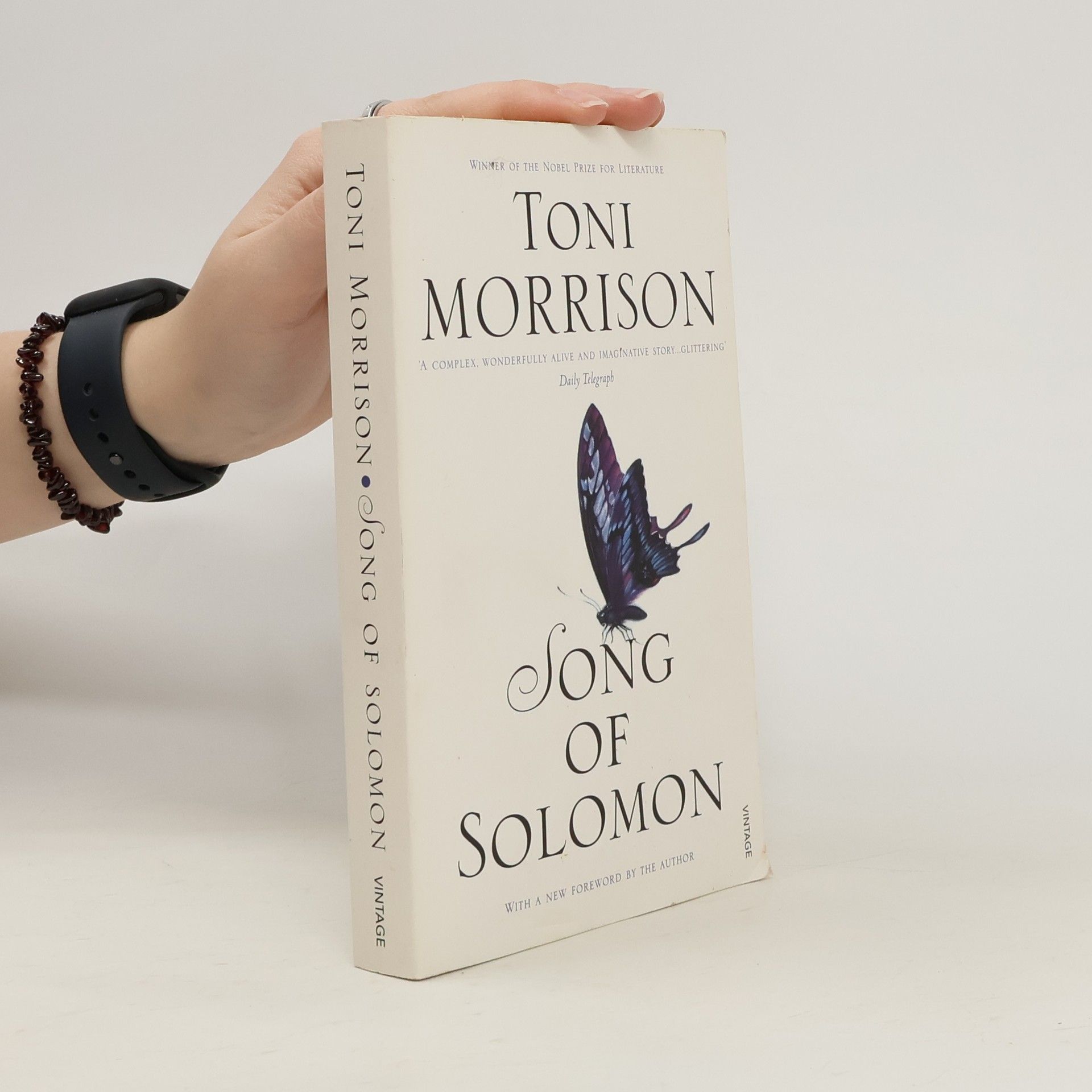 Toni Morrison Song of Solomon