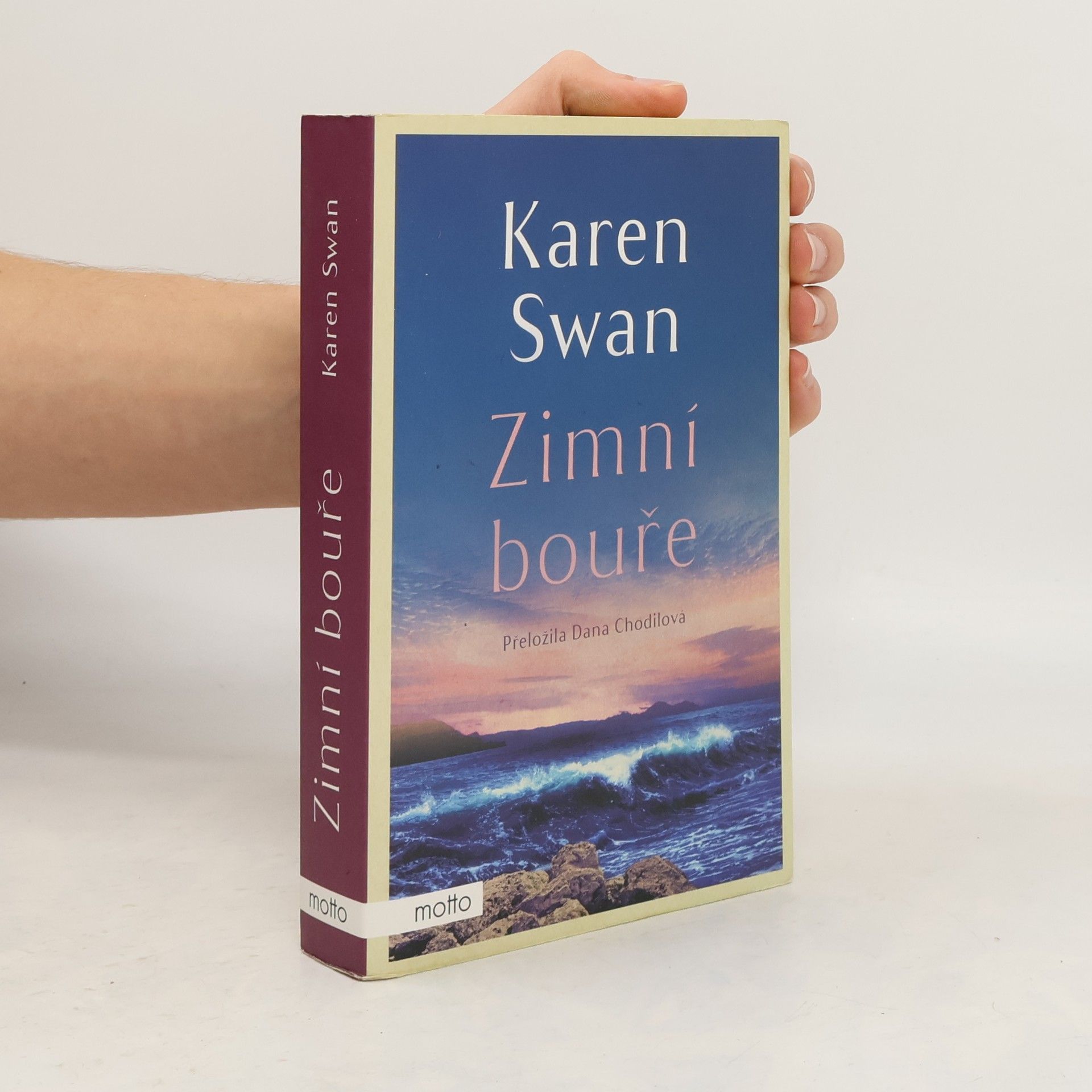 Dana Chodilová Zimní bouře