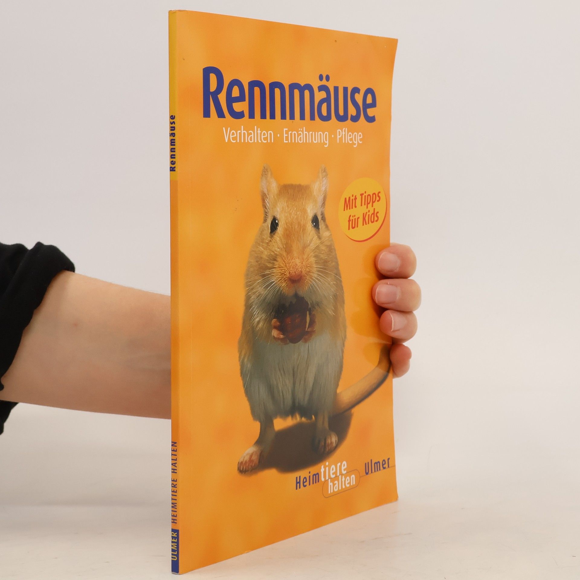 Heike Schmidt-Röger Rennmäuse