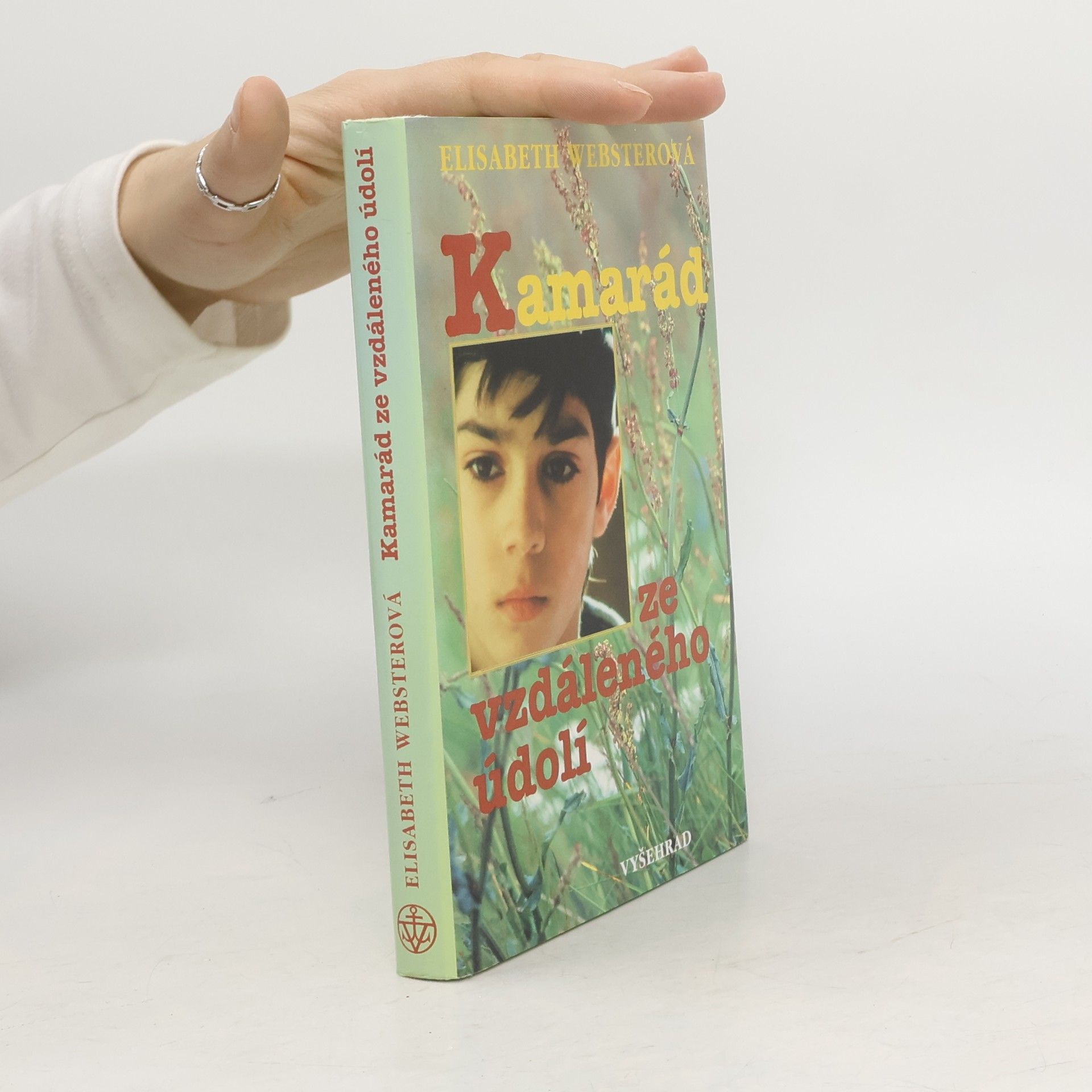 Kamarád ze vzdáleného údolí