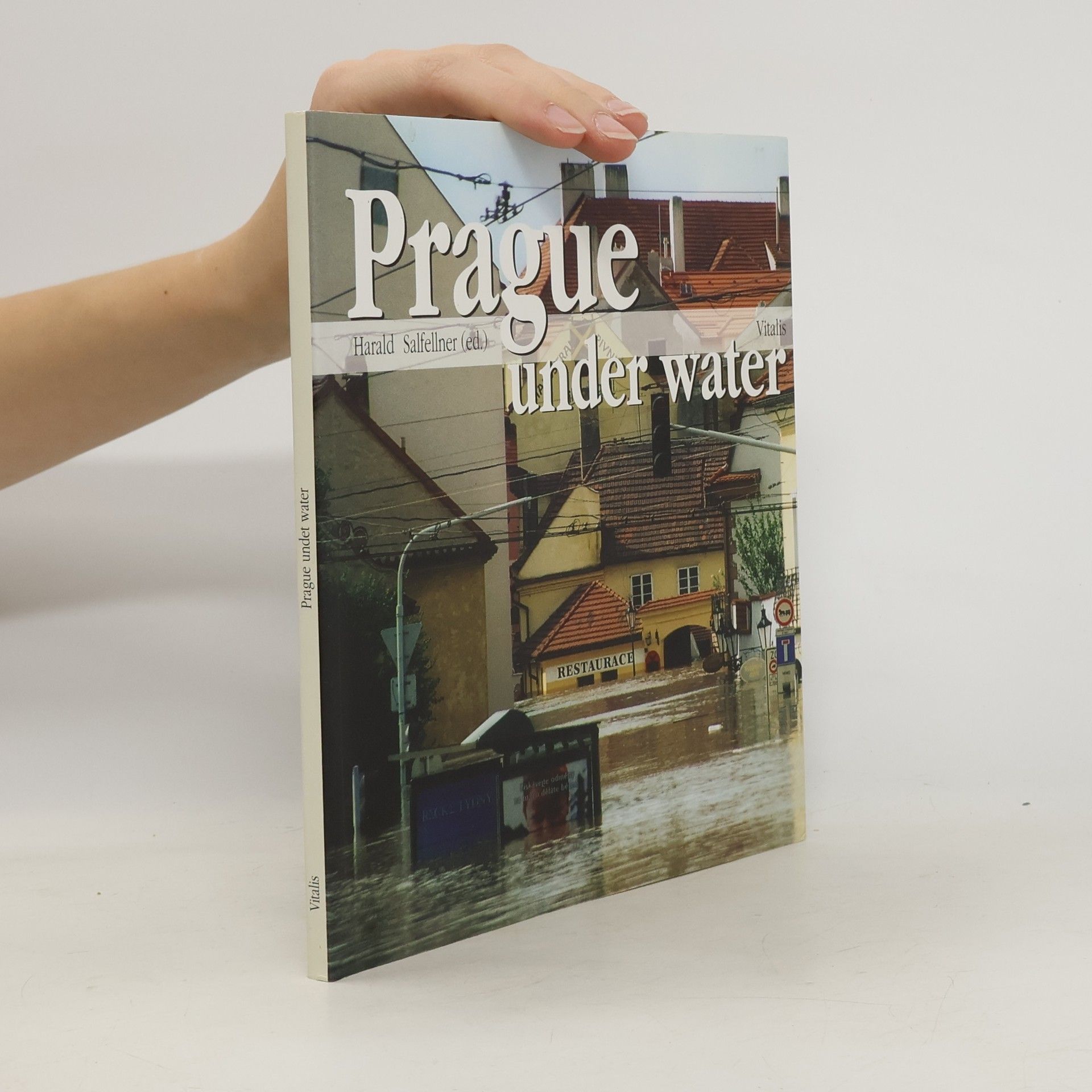 Harald Salfellner Prague under water