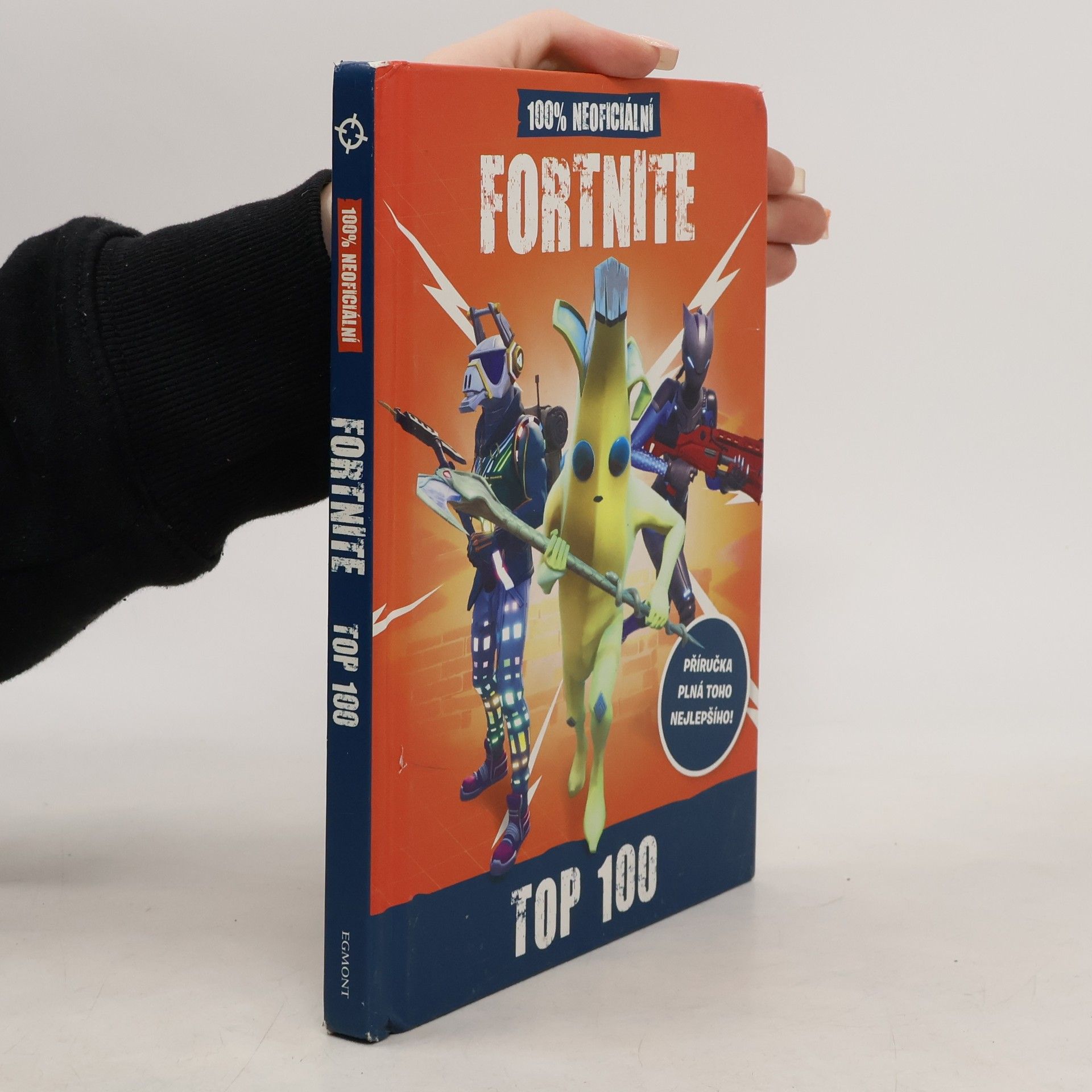 Fortnite : 100% neoficiální top 100