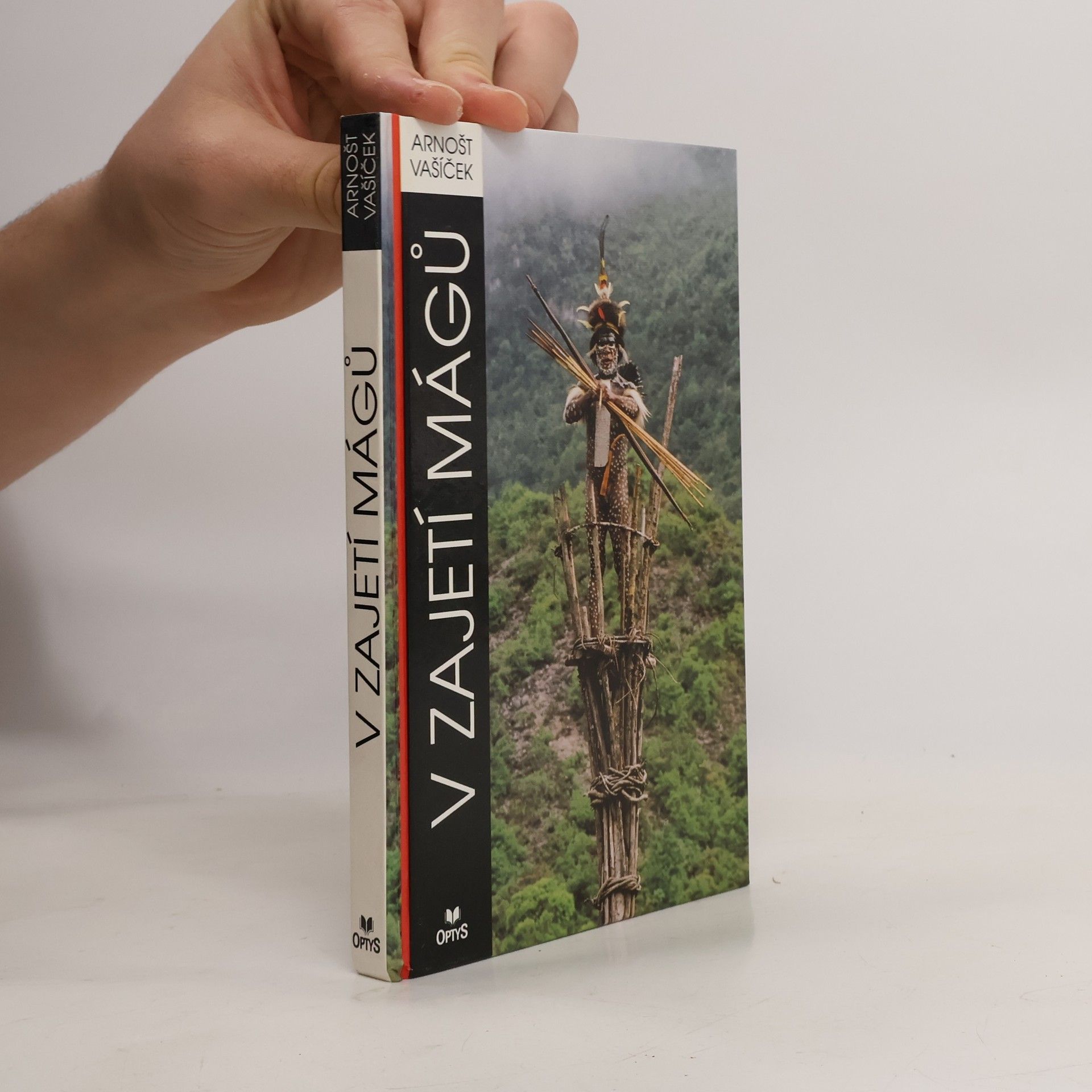 Arnošt Vašíček V zajetí mágů