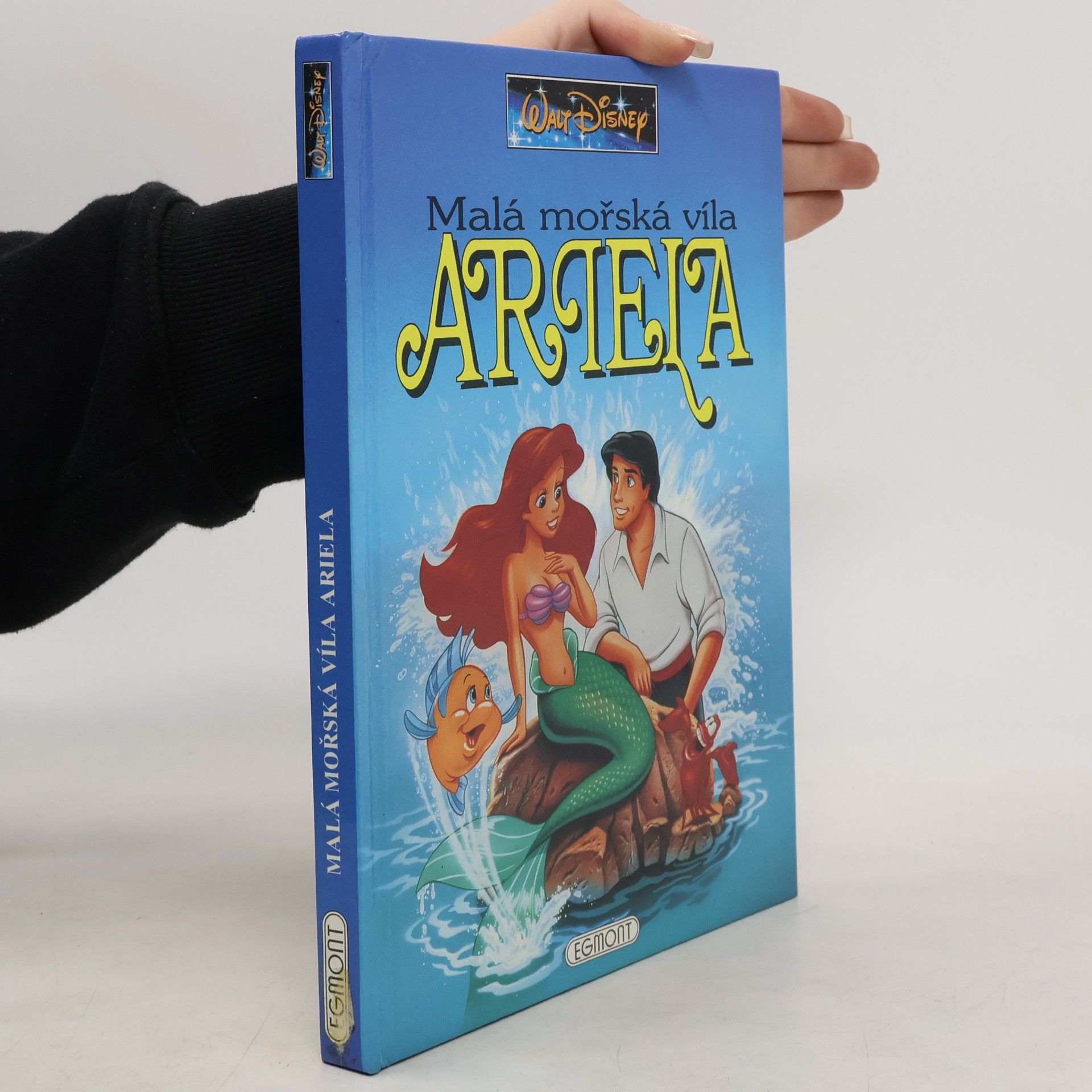 Malá mořská víla Ariela