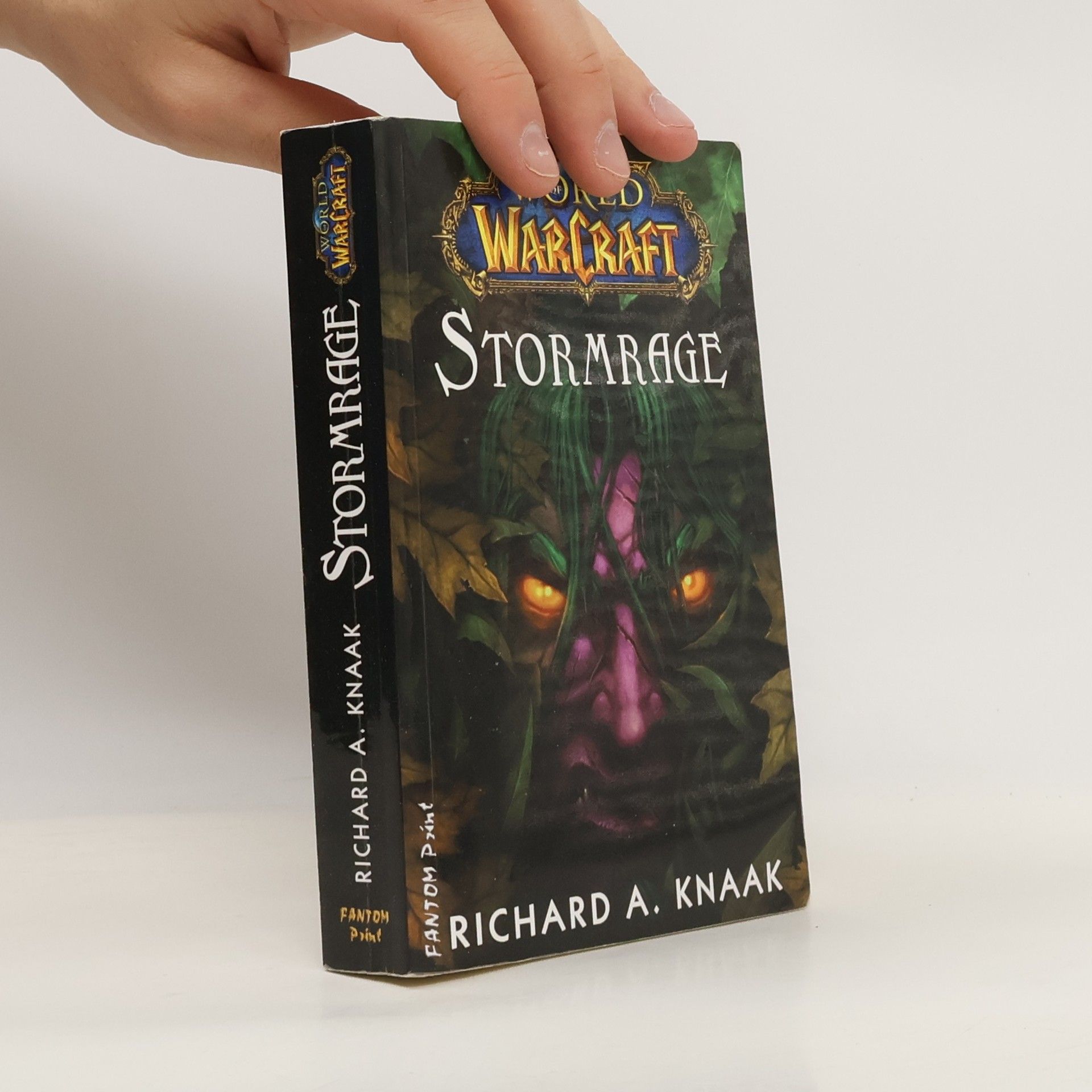Richard A. Knaak Stormrage