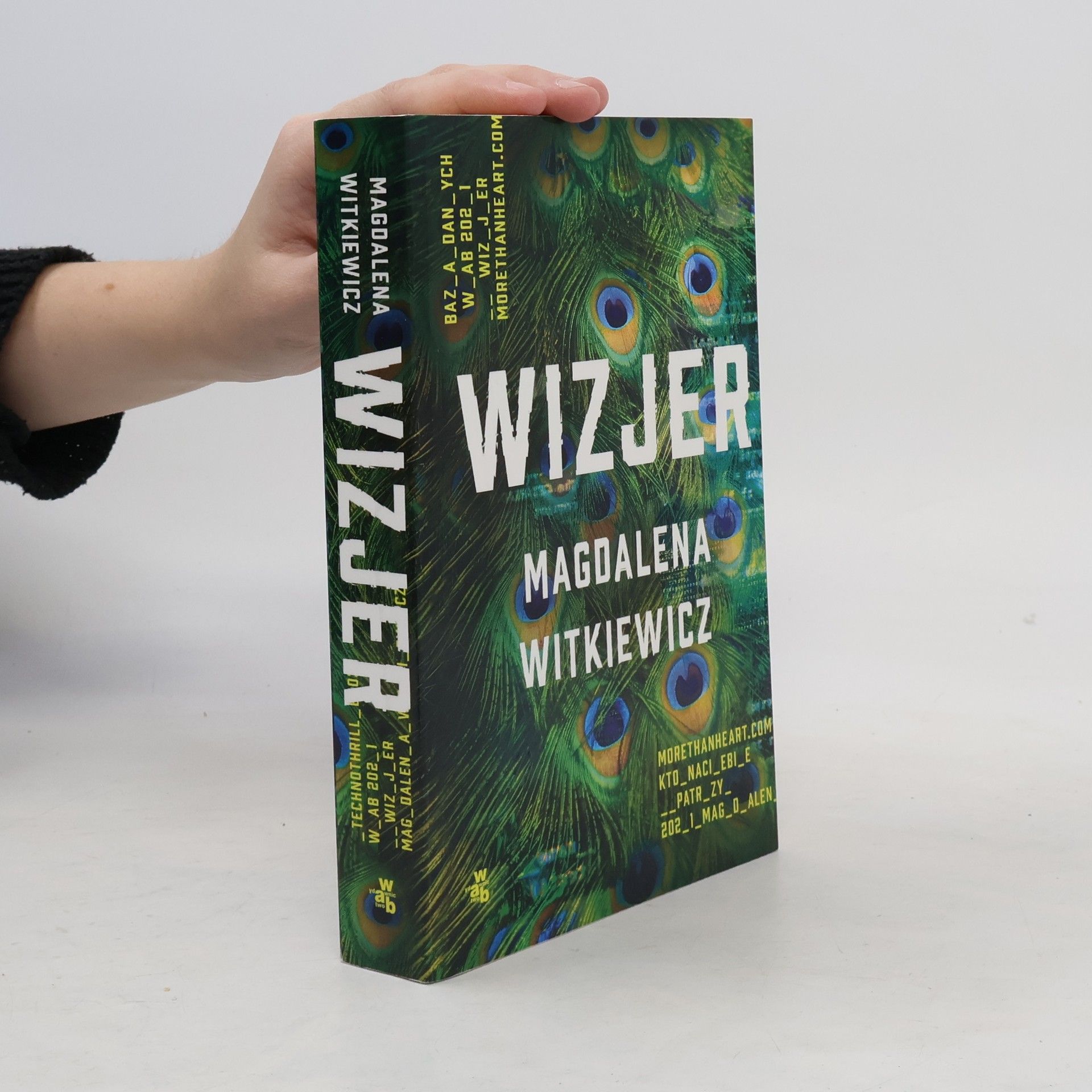 Magdalena Witkiewicz Wizjer