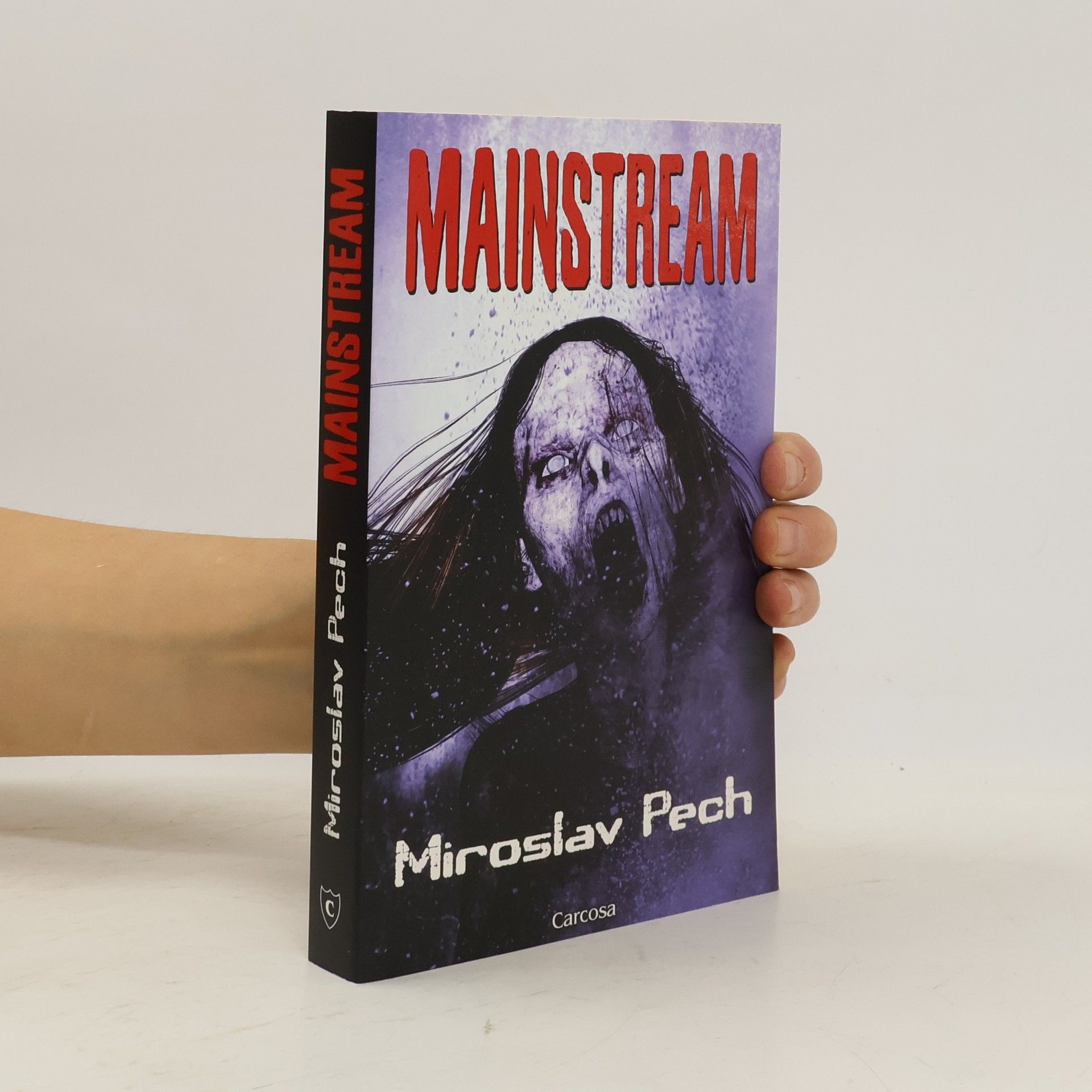 Miroslav Pech Mainstream