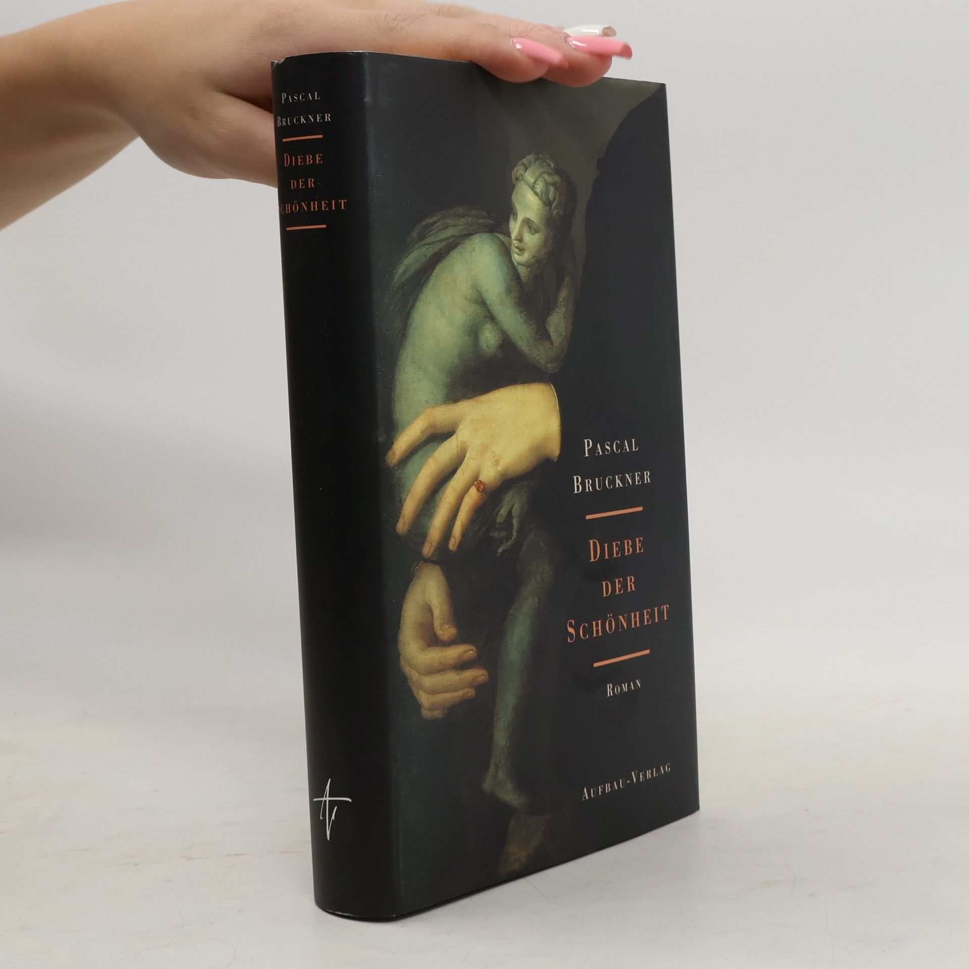 Pascal Bruckner Diebe der Schönheit