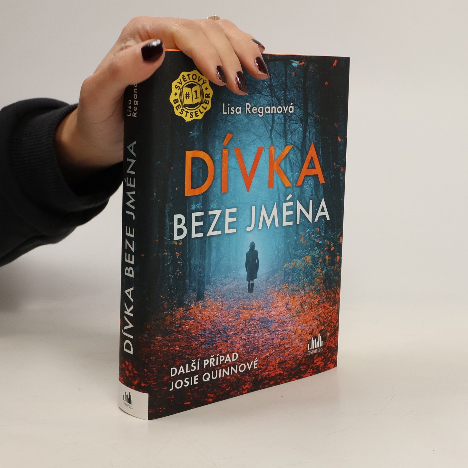 Lisa Regan Dívka beze jména: Další případ Josie Quinnové