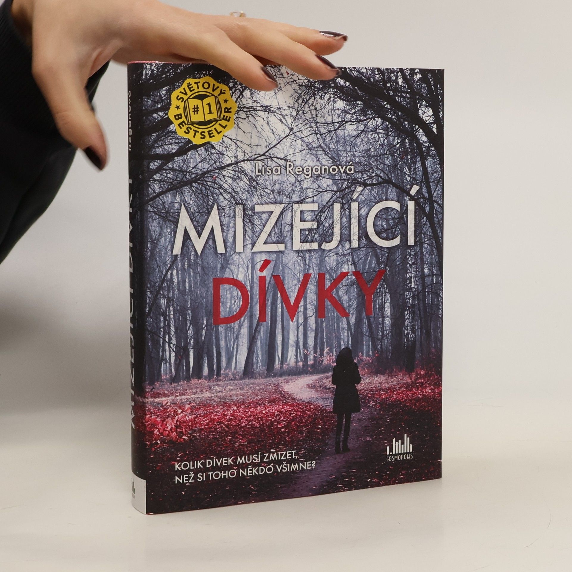 Lisa Regan Mizející dívky