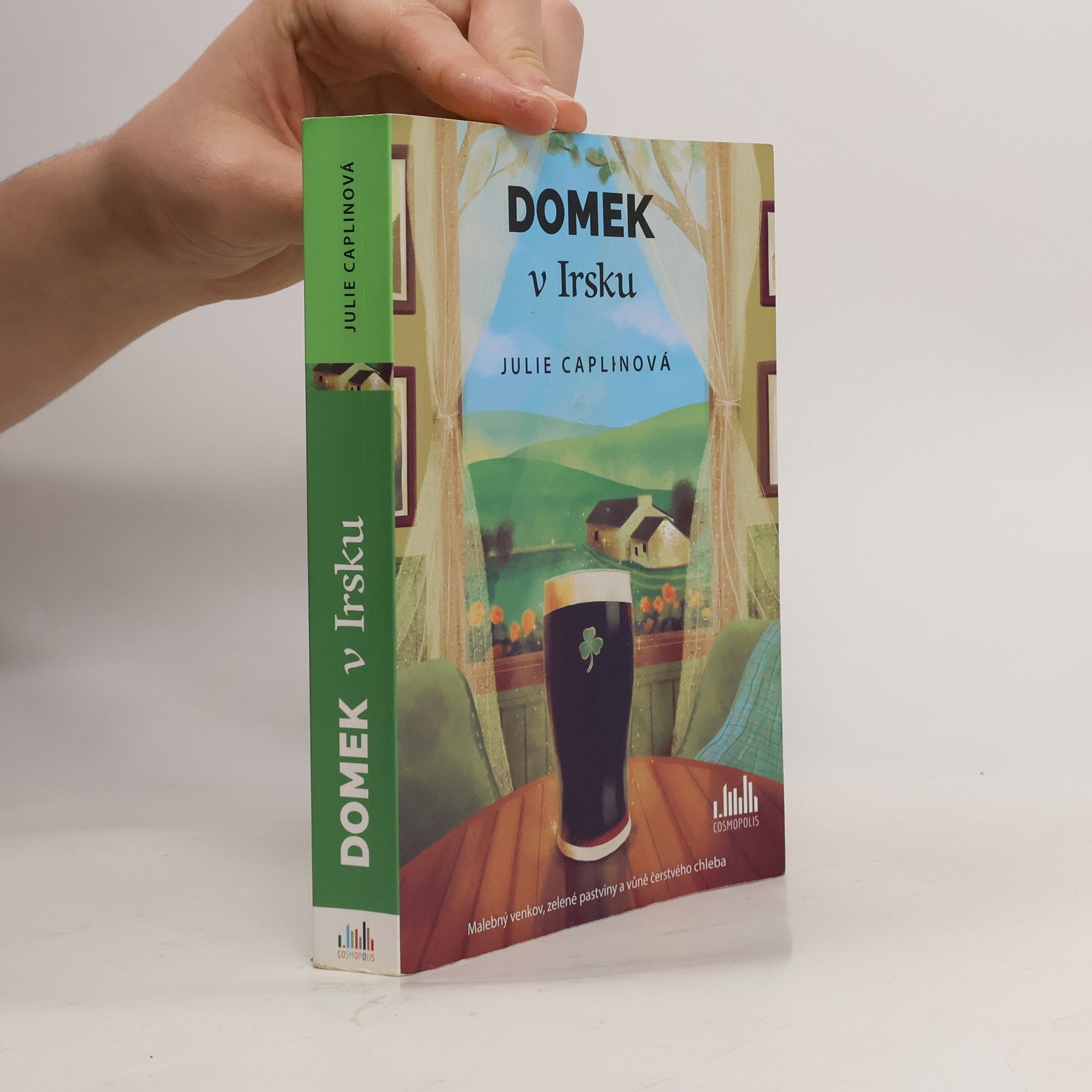 Julie Caplin Domek v Irsku