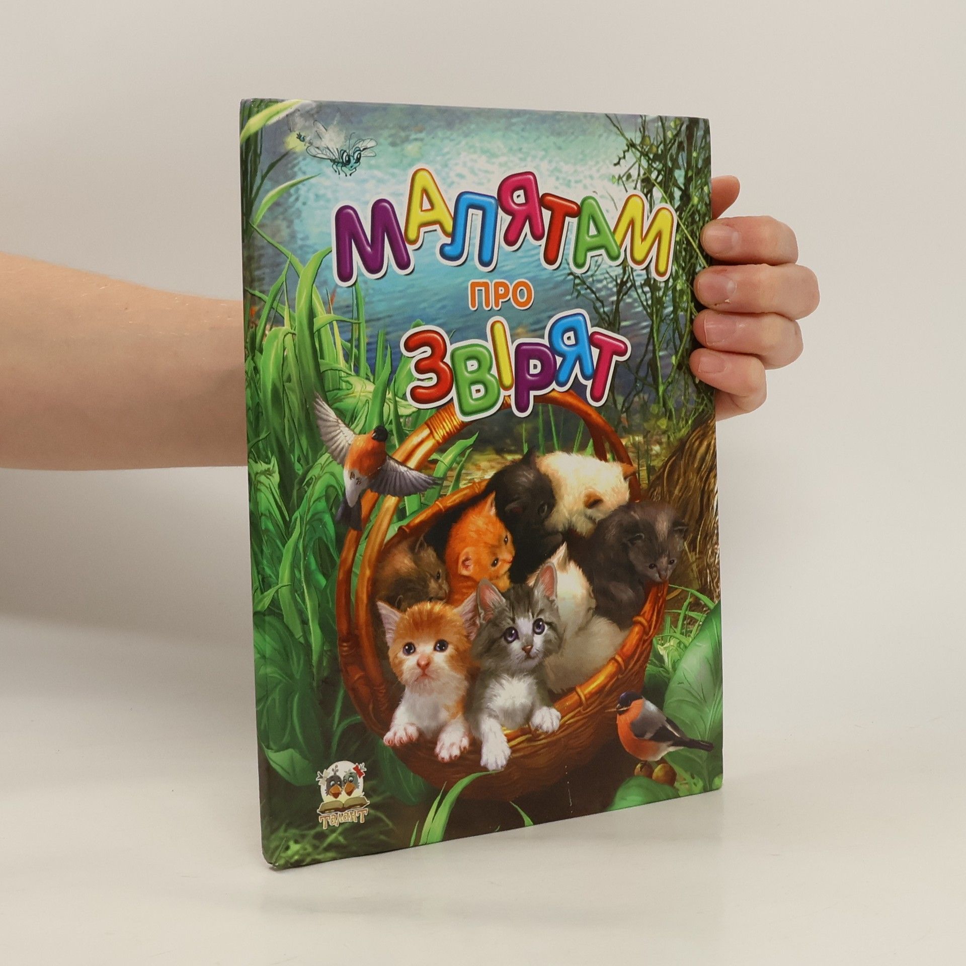 Kolektív autorov Буквар для хлопчиків