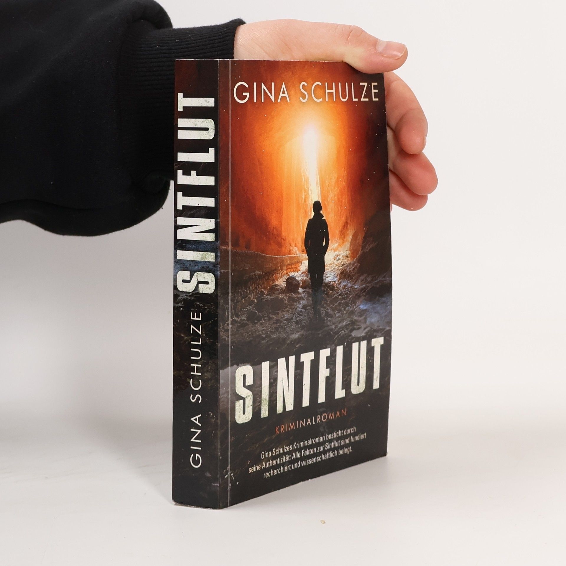 Gina Schulze Sintflut