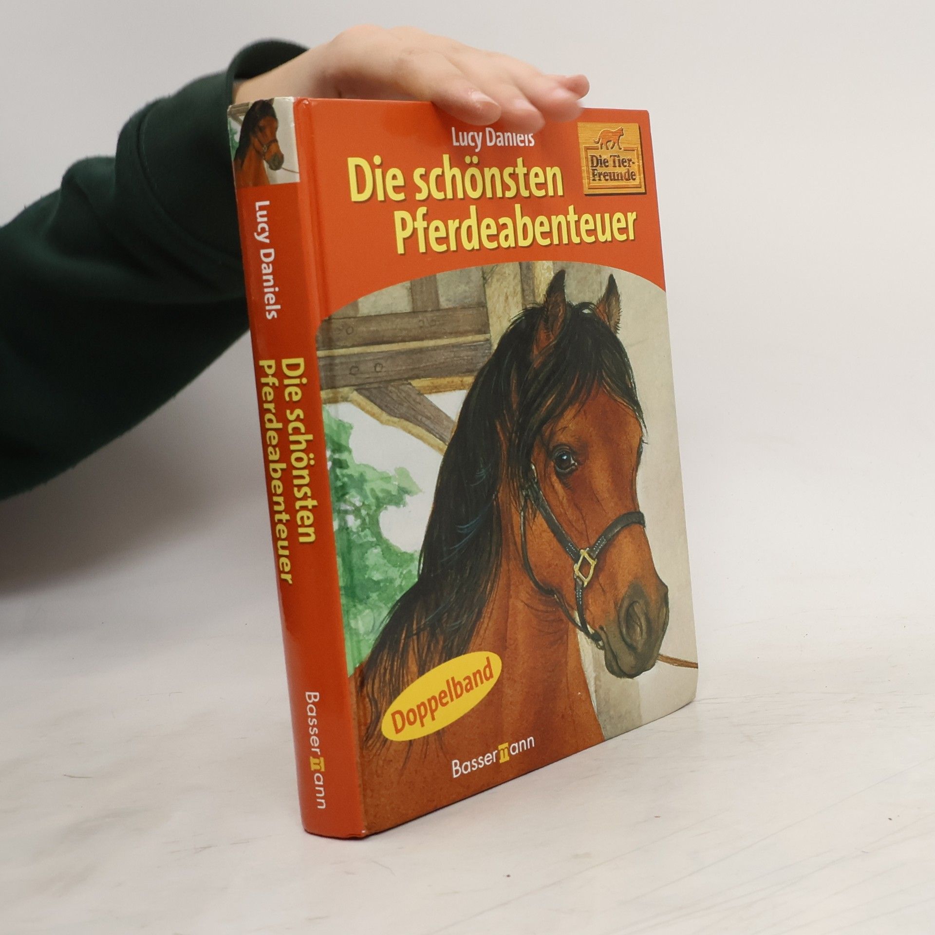Lucy Daniels Die schönsten Pferdeabenteuer