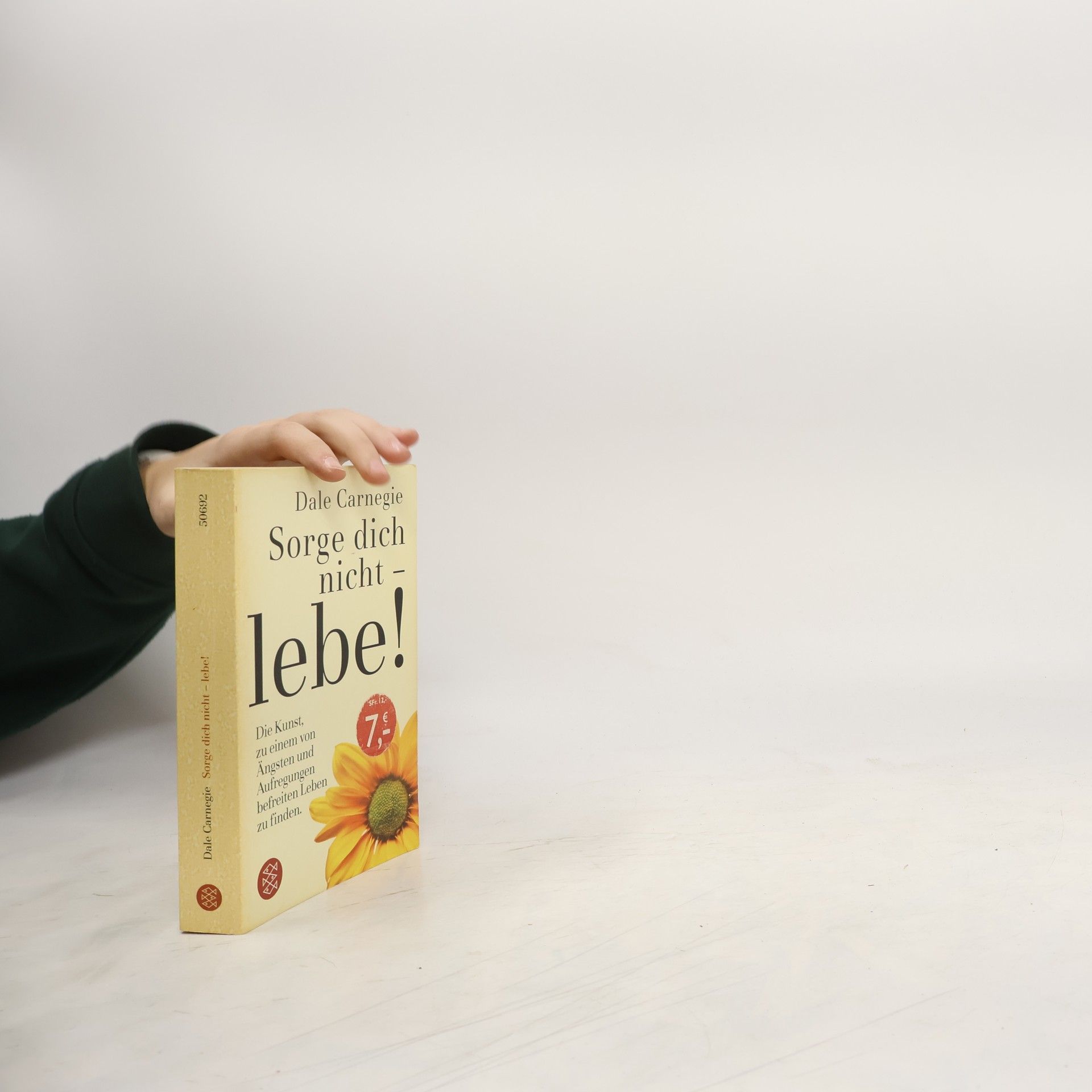 Dale Carnegie Sorge dich nicht - lebe!