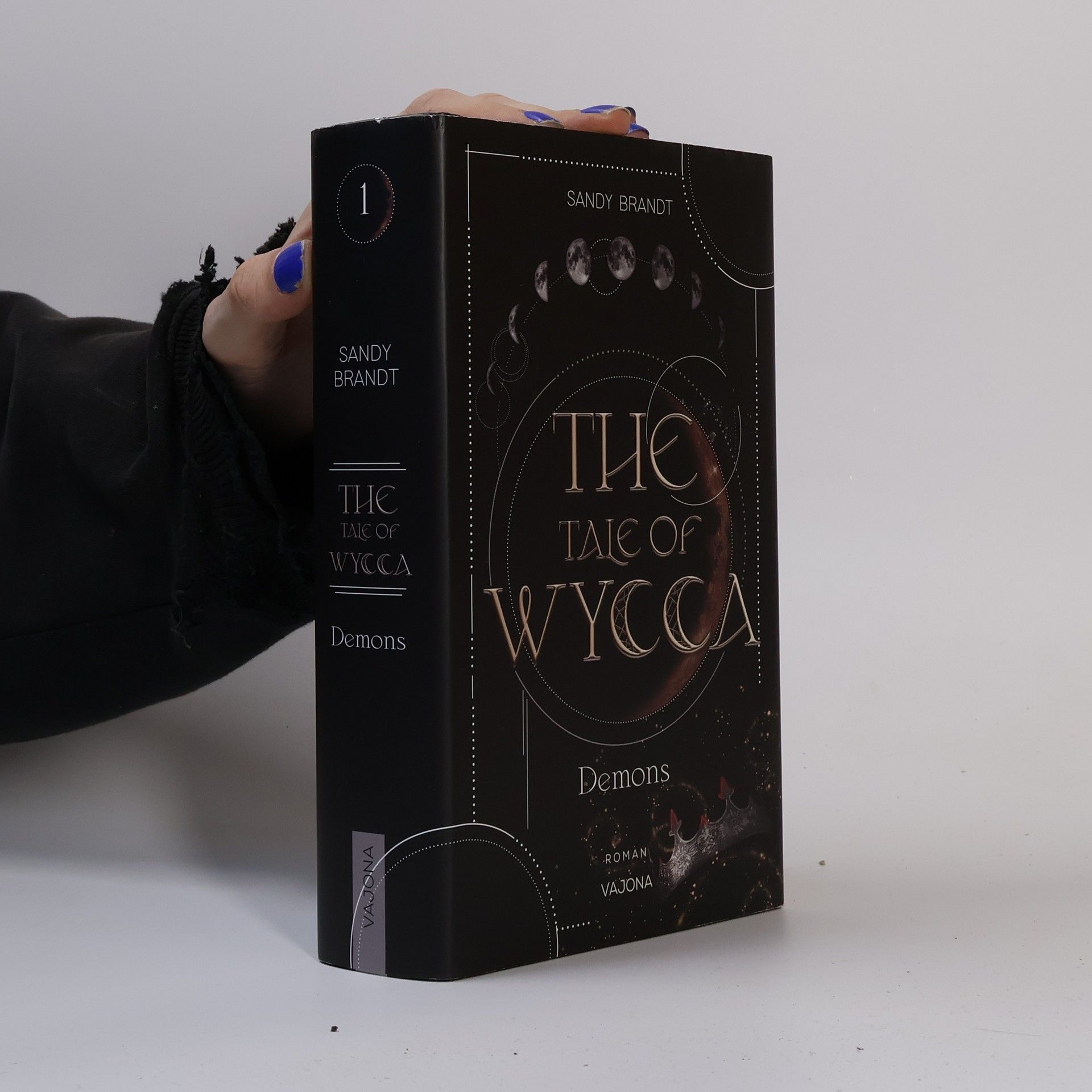 Sandy Brandt THE TALE OF WYCCA: Demons (WYCCA-Reihe 1)