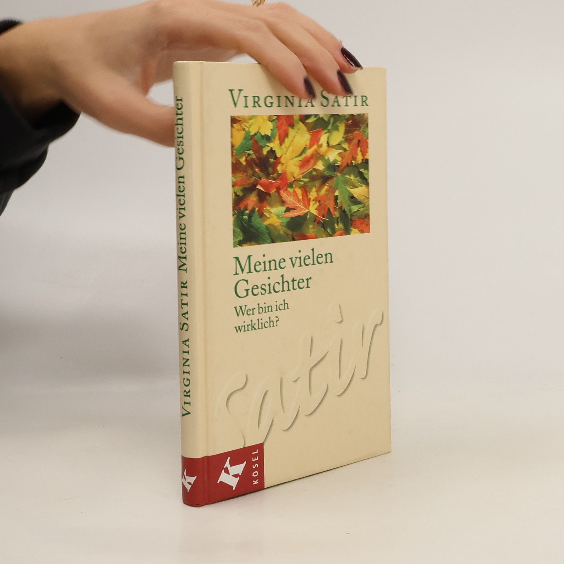 Virginia Satir Meine vielen Gesichter