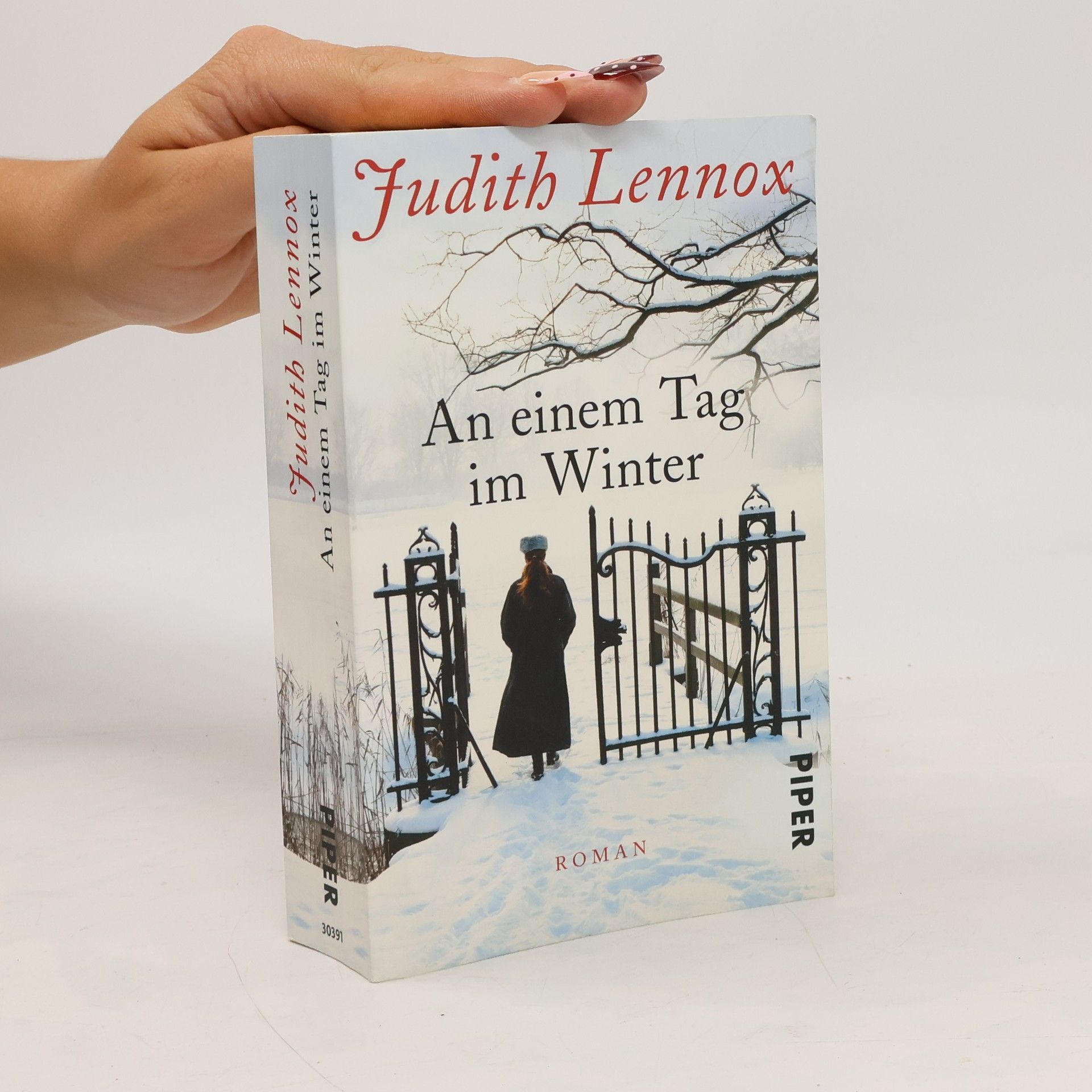 Judith Lennox An einem Tag im Winter