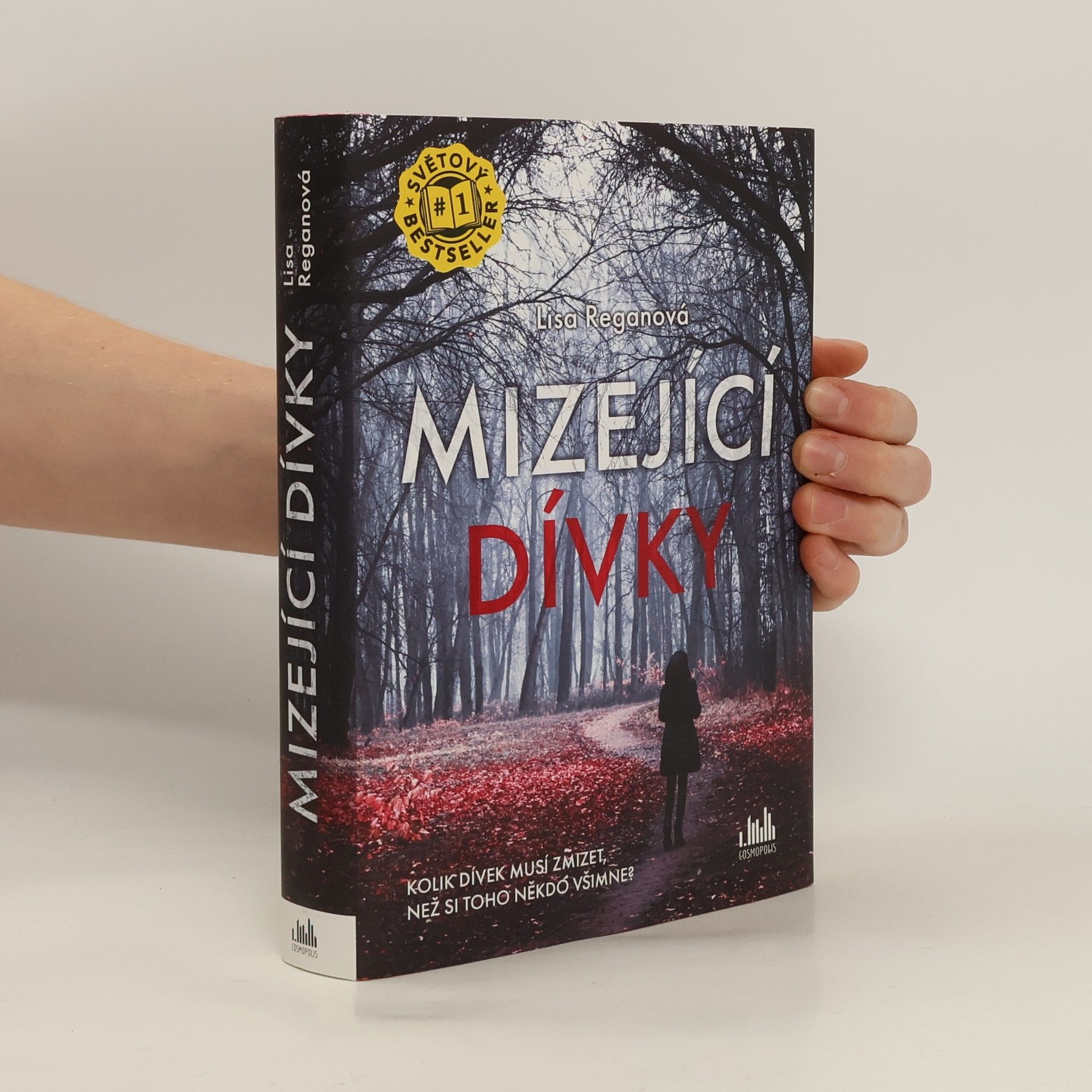 Lisa Regan Mizející dívky