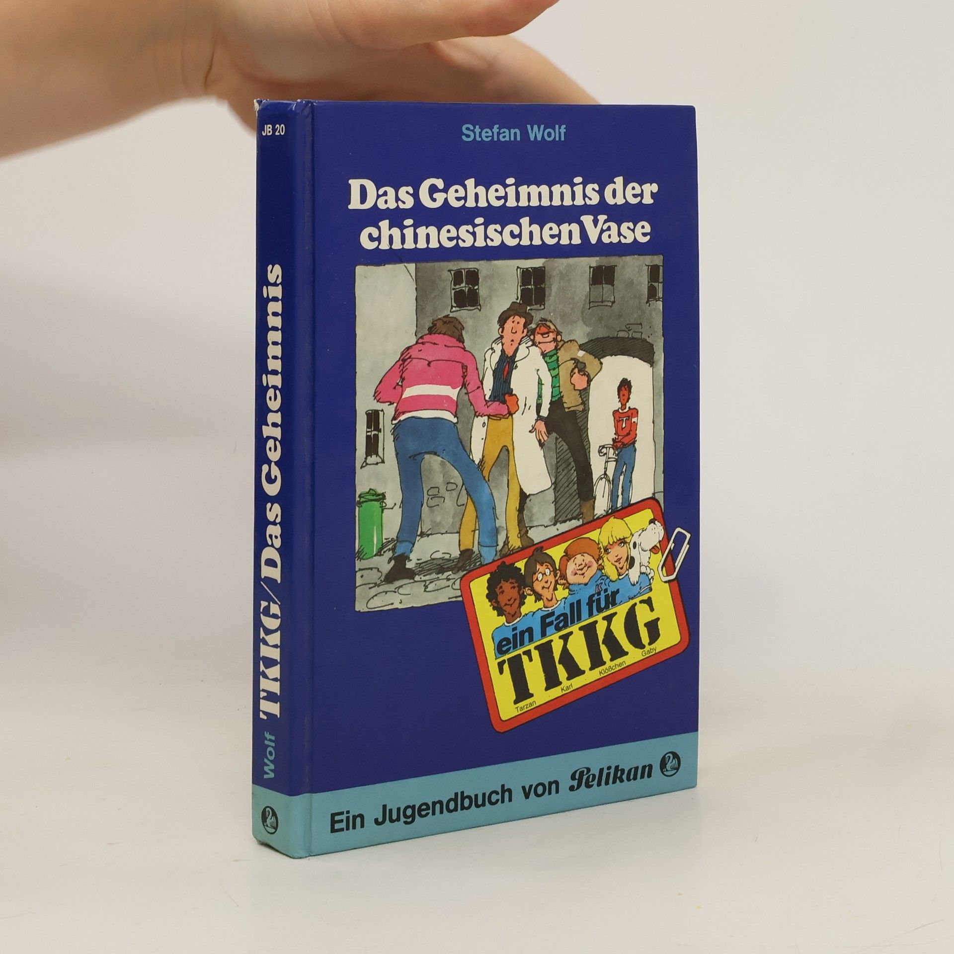 Stefan Wolf Das Geheimnis der chinesischen Vase