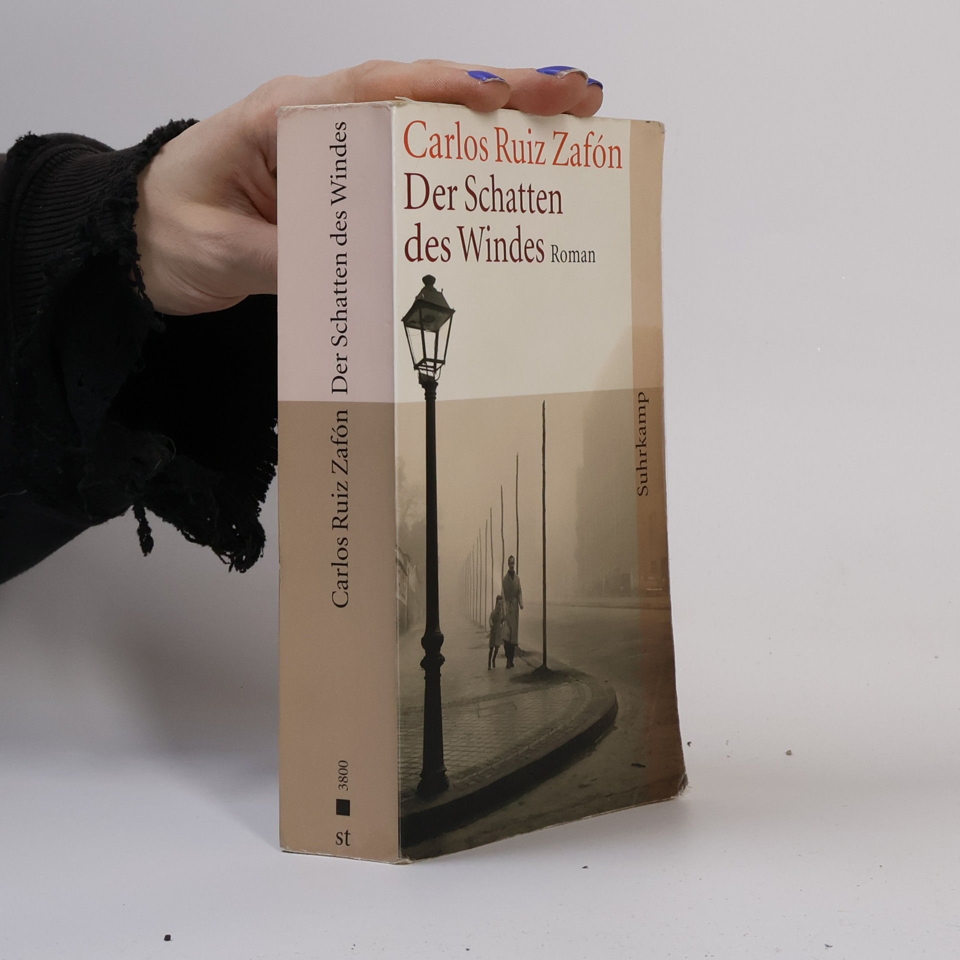 Carlos Ruiz Zafón Der Schatten des Windes