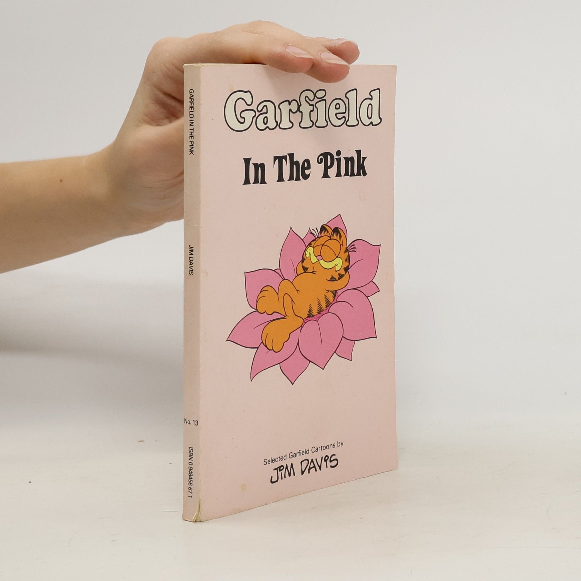 Jim Davis Garfield in the Pink