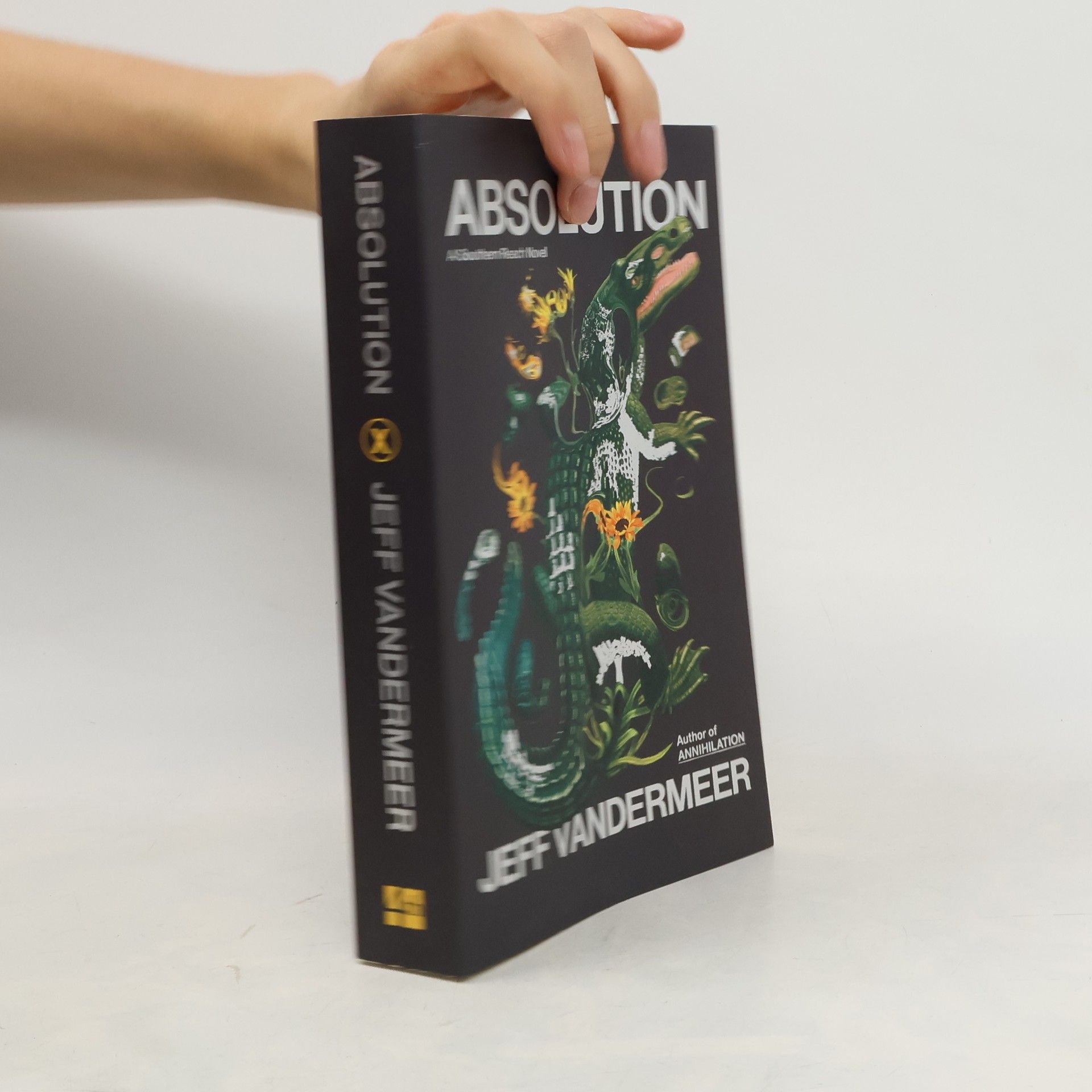 Jeff VanderMeer Absolution