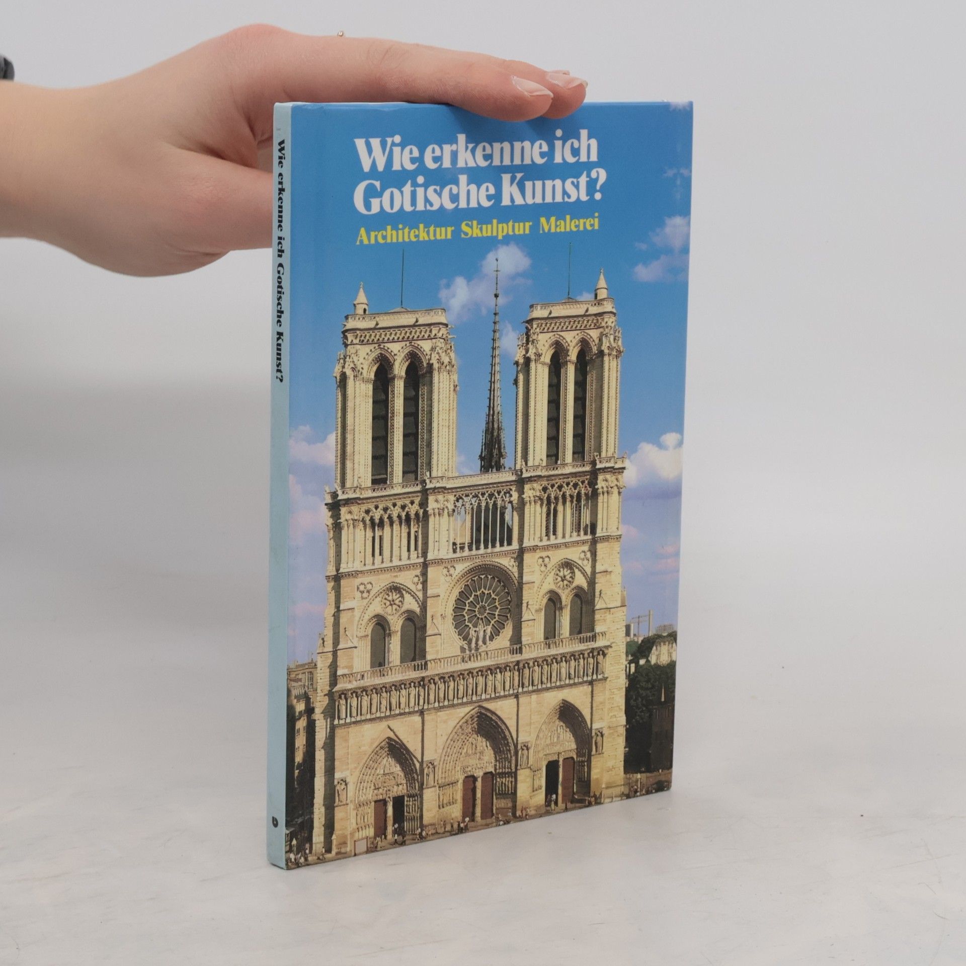 Maria Cristina Gozzoli Wie erkenne ich gotische Kunst?