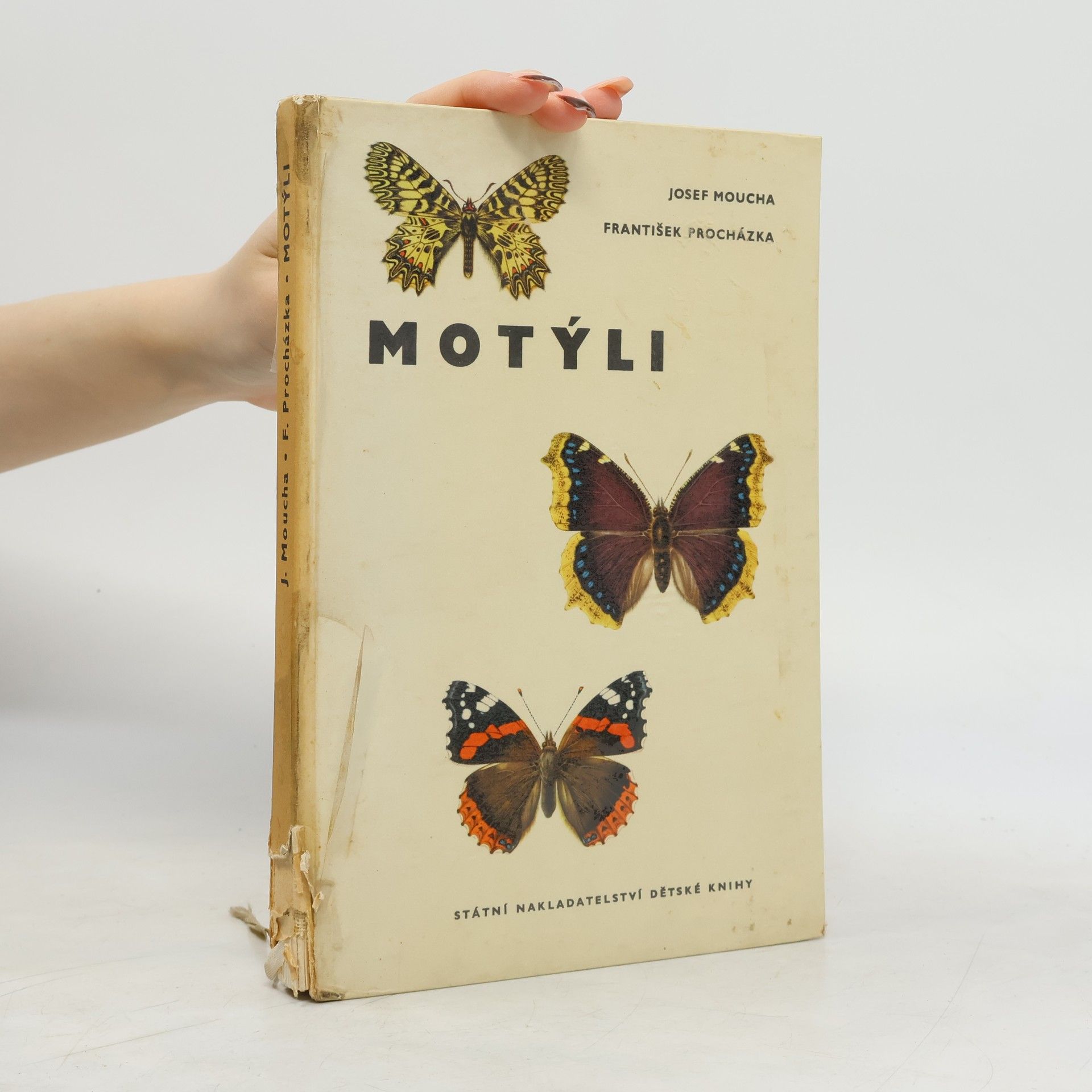 František Procházka Motýli